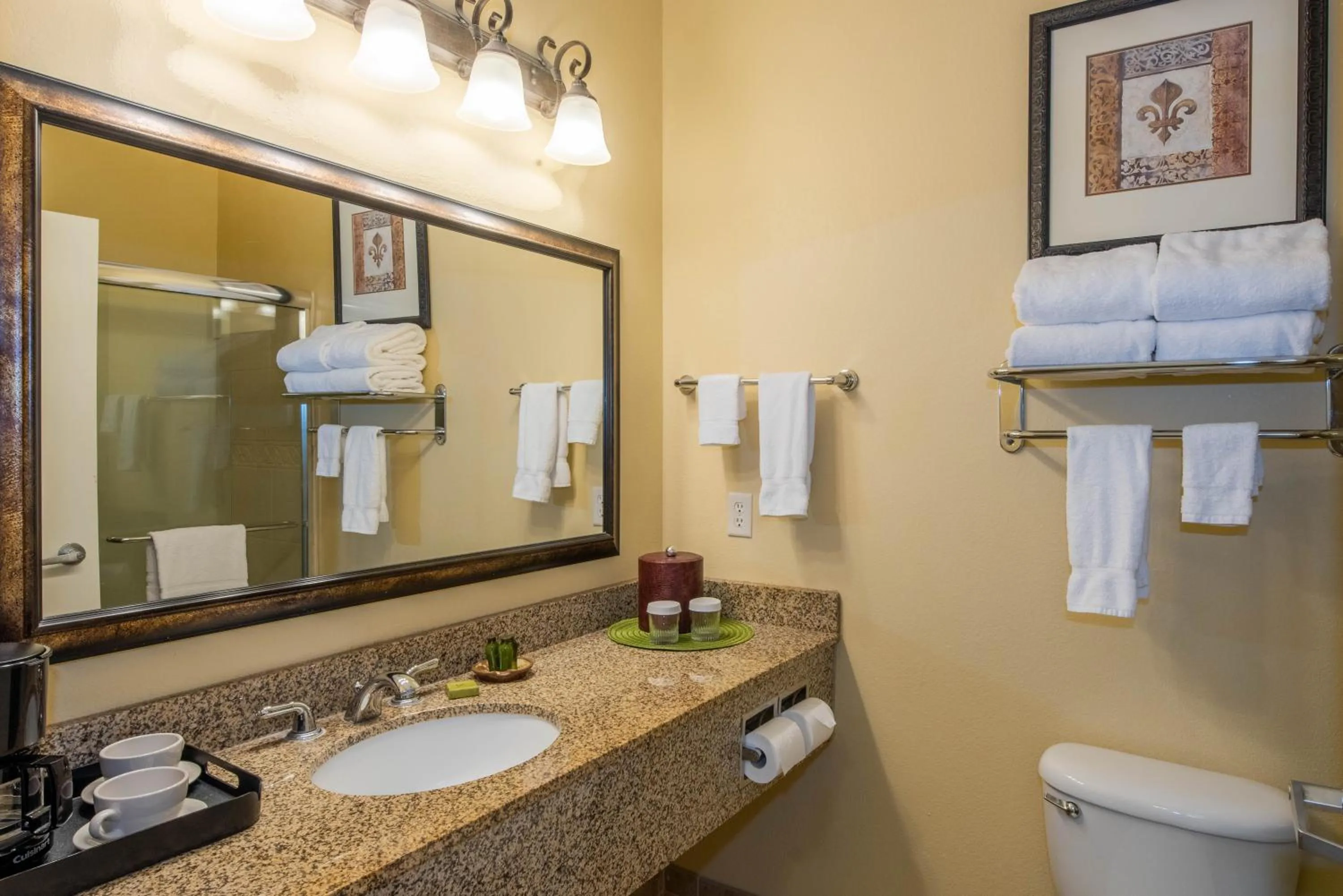 Bathroom in Natchez Grand Hotel On The River