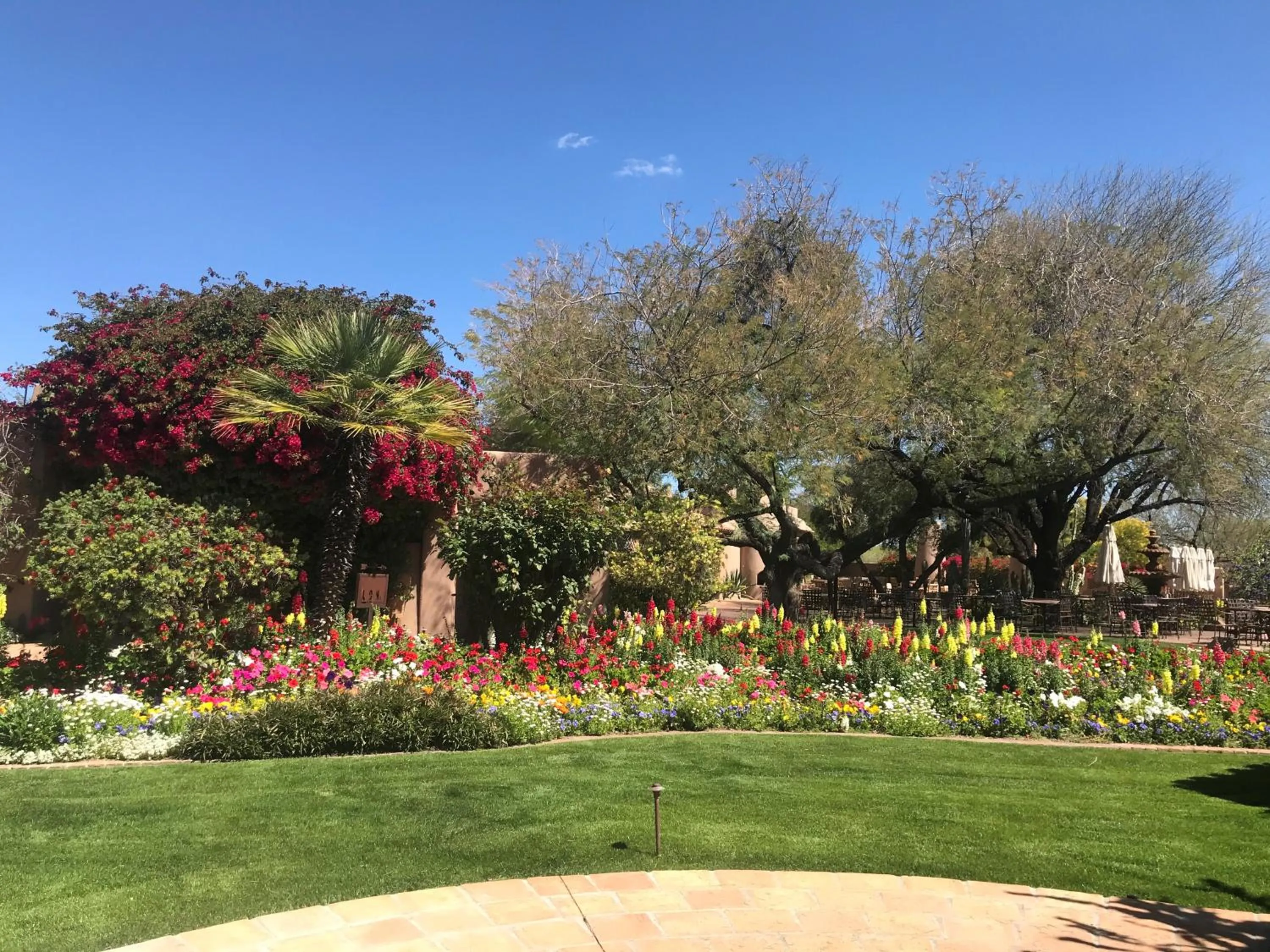Garden in The Hermosa Inn