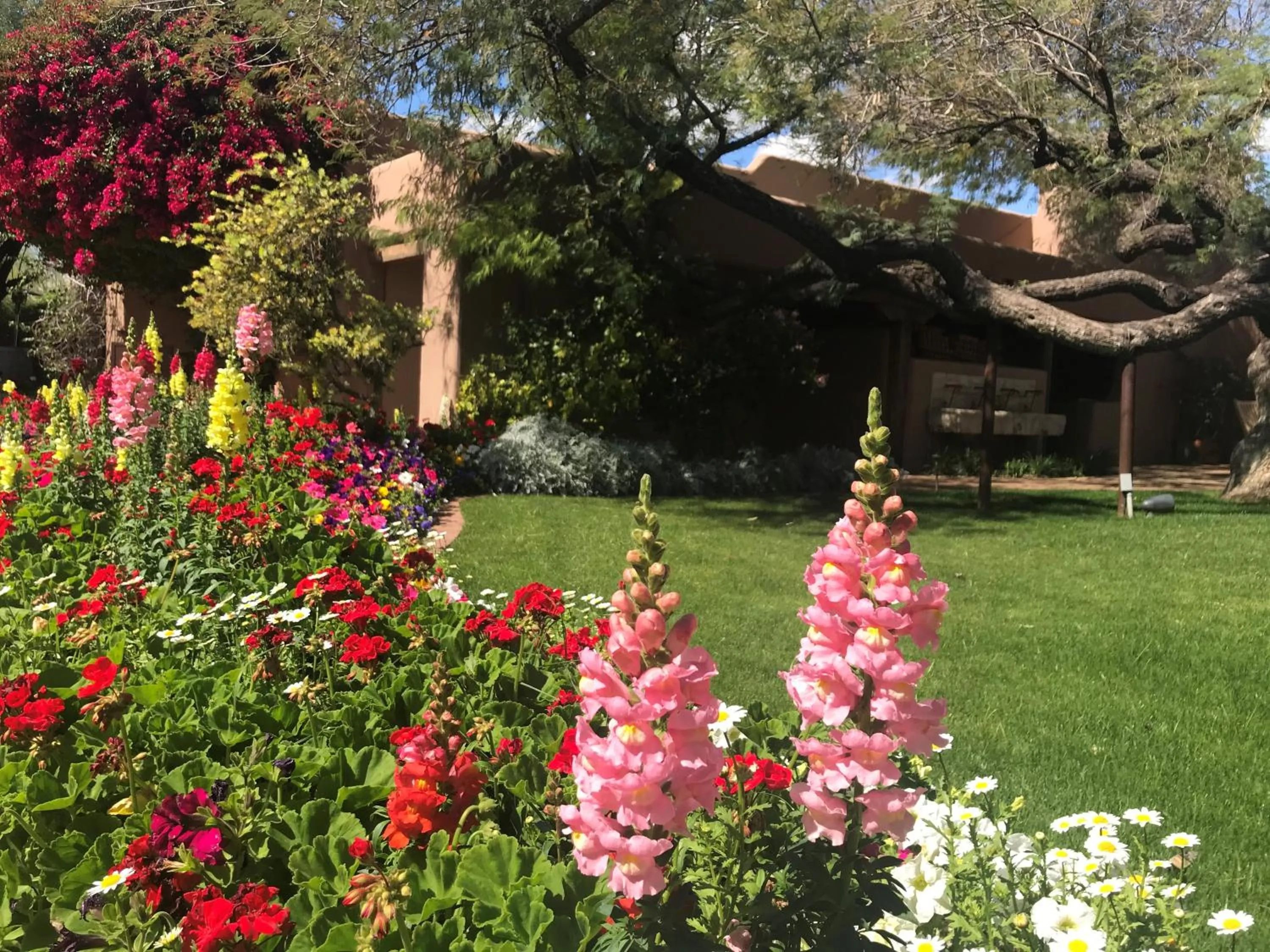 Garden in The Hermosa Inn