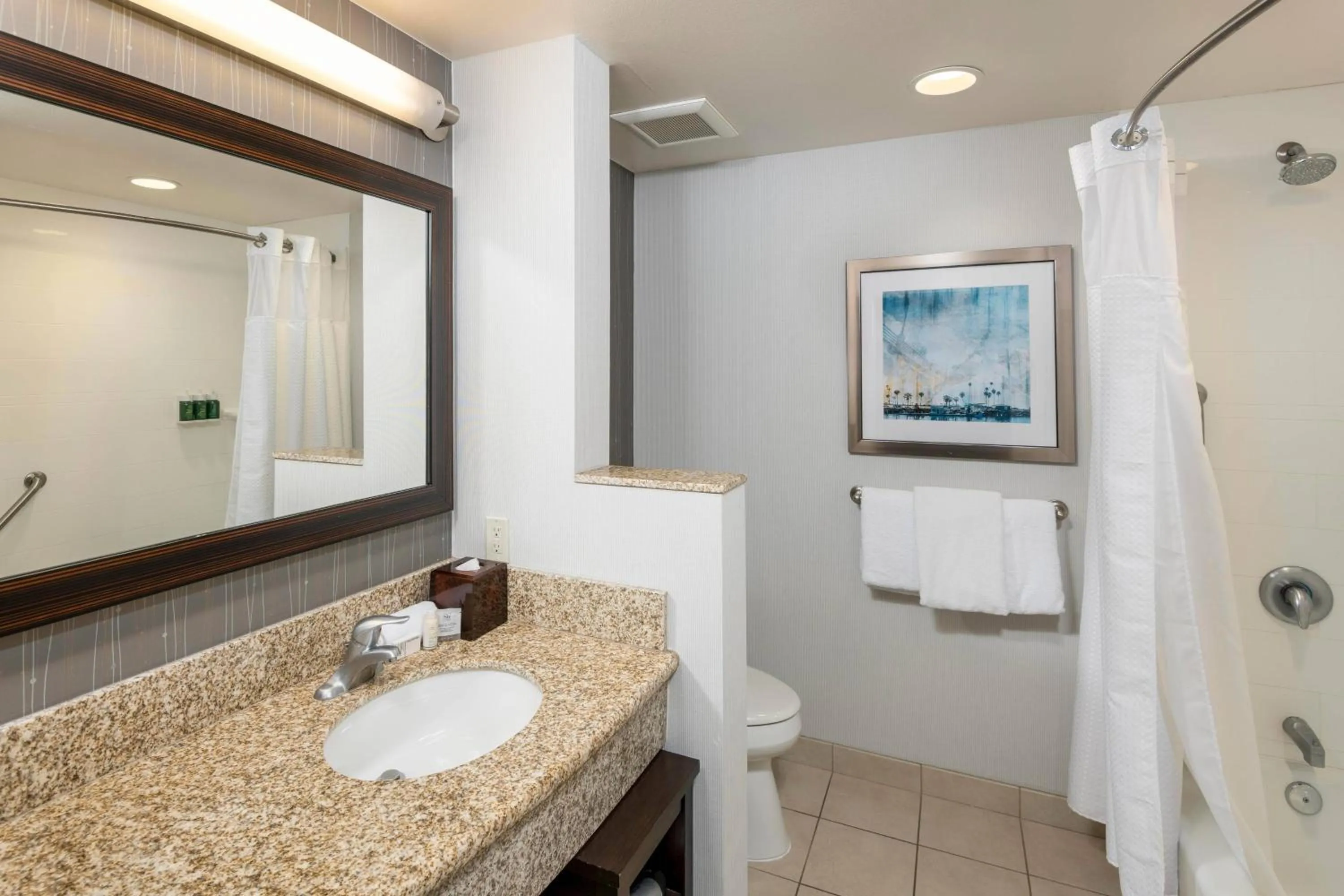 Bathroom in Courtyard by Marriott San Diego Oceanside