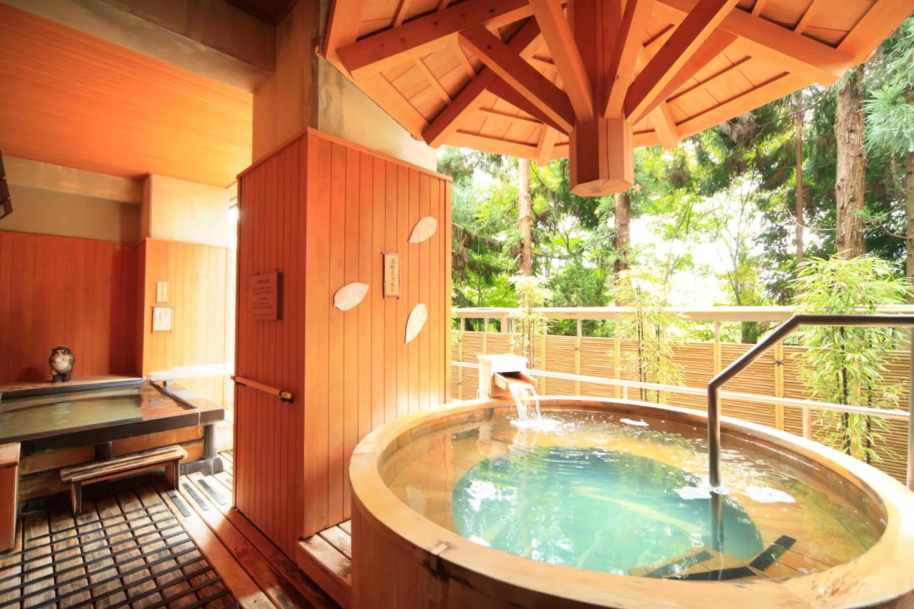 Hot Spring Bath in Hoshokaku                                                                                       