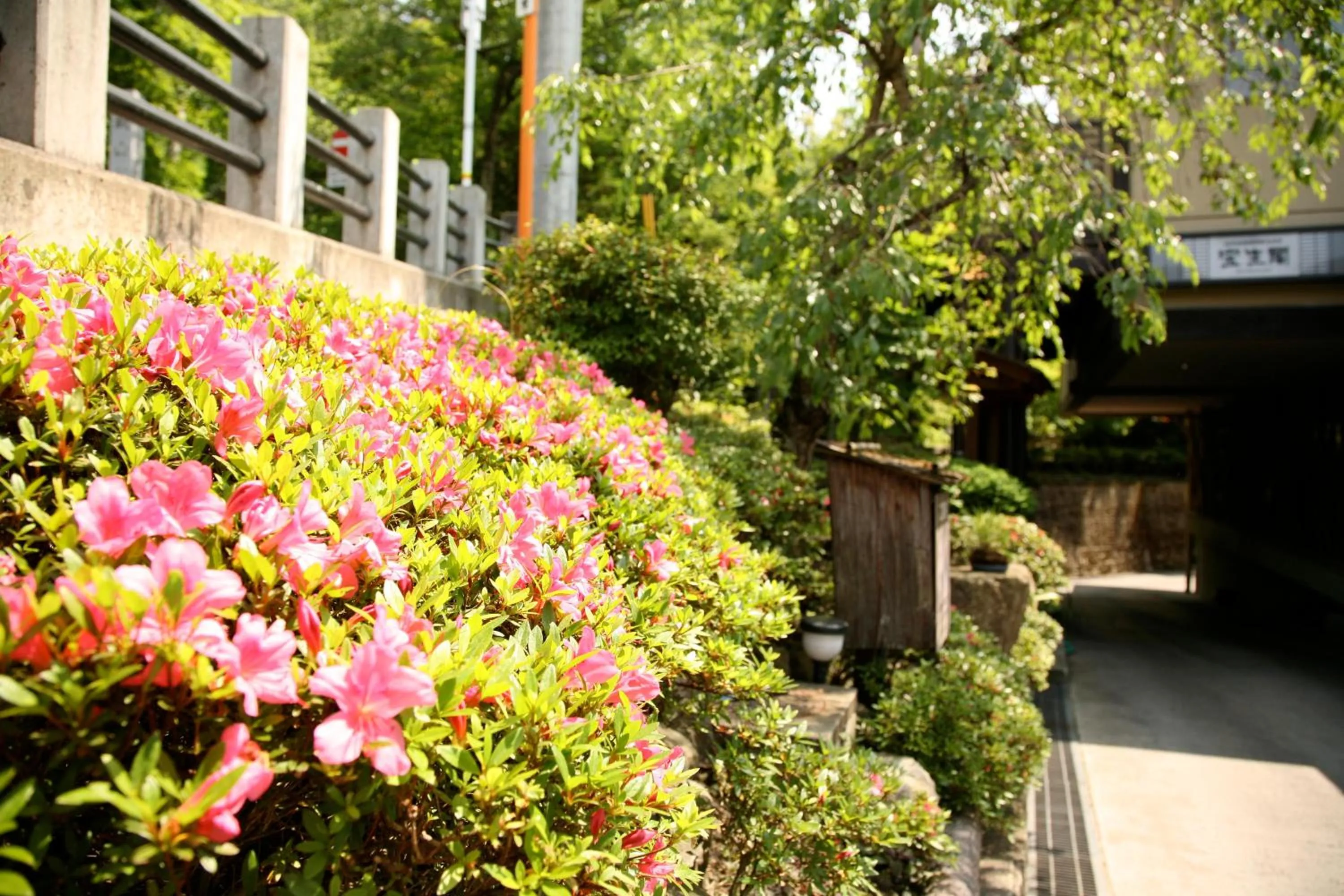 Other, Garden in Hoshokaku                                                                                       