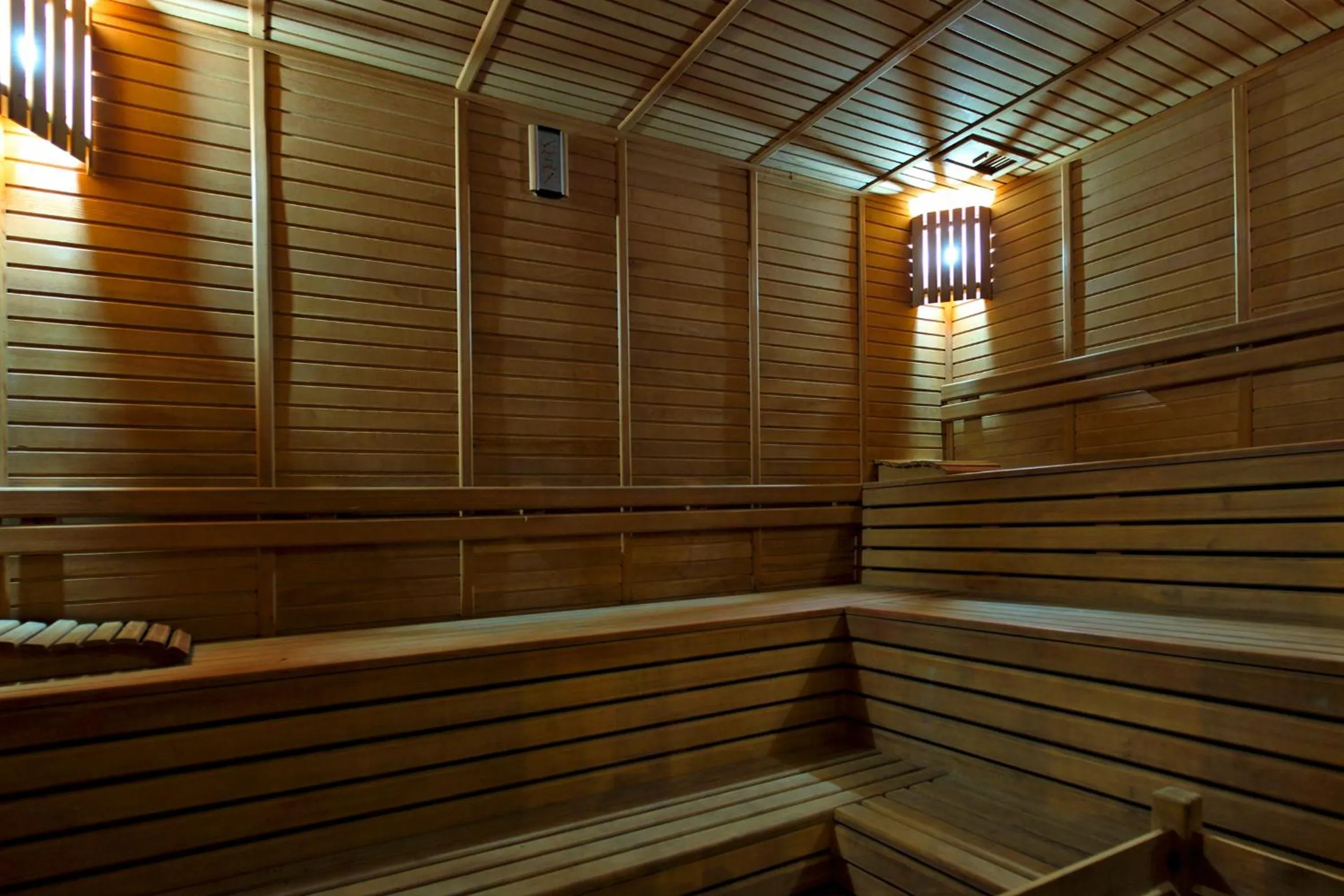 Sauna in My Dream Hotel