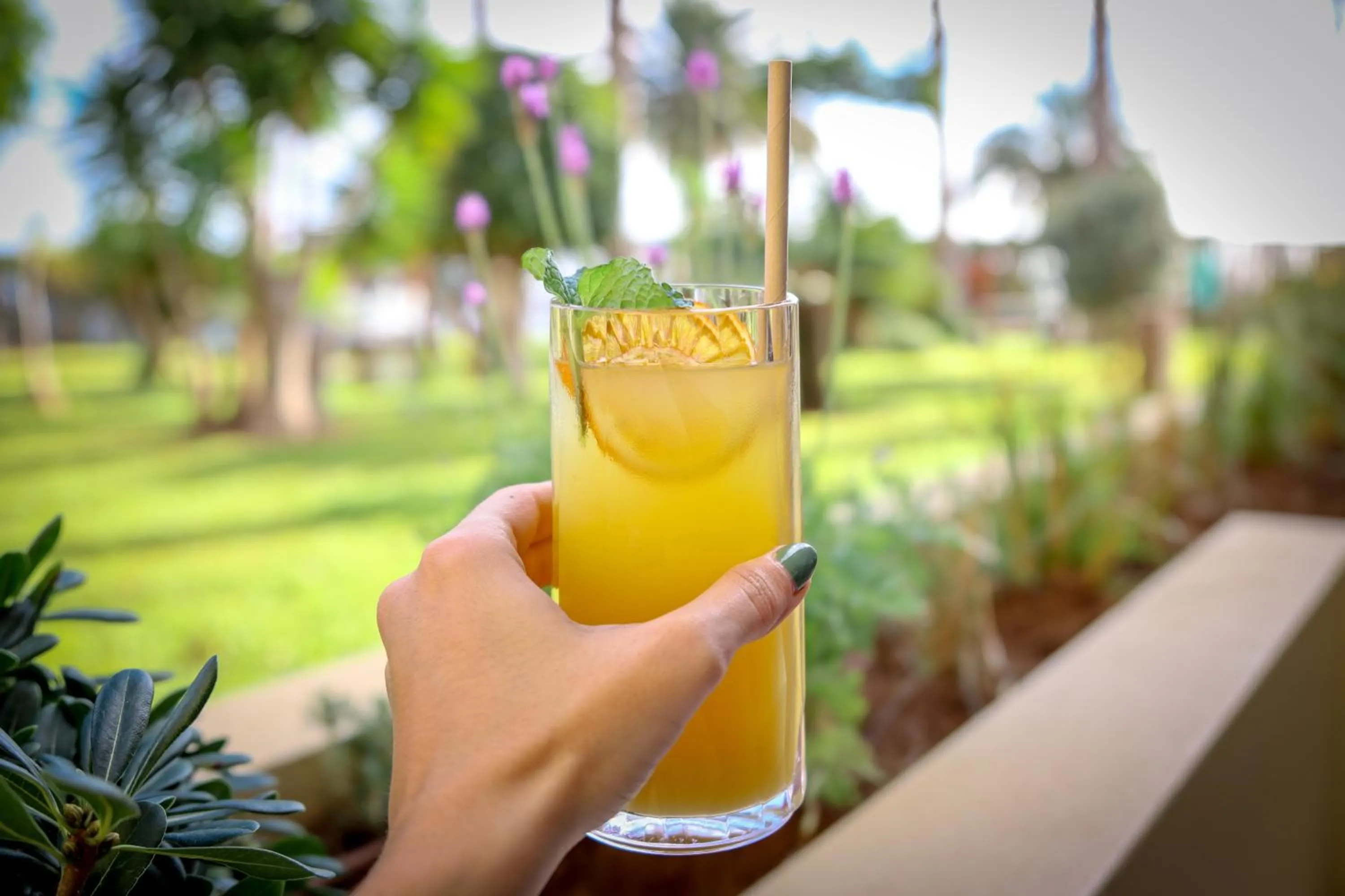 Photo of the whole room in The Views Oasis