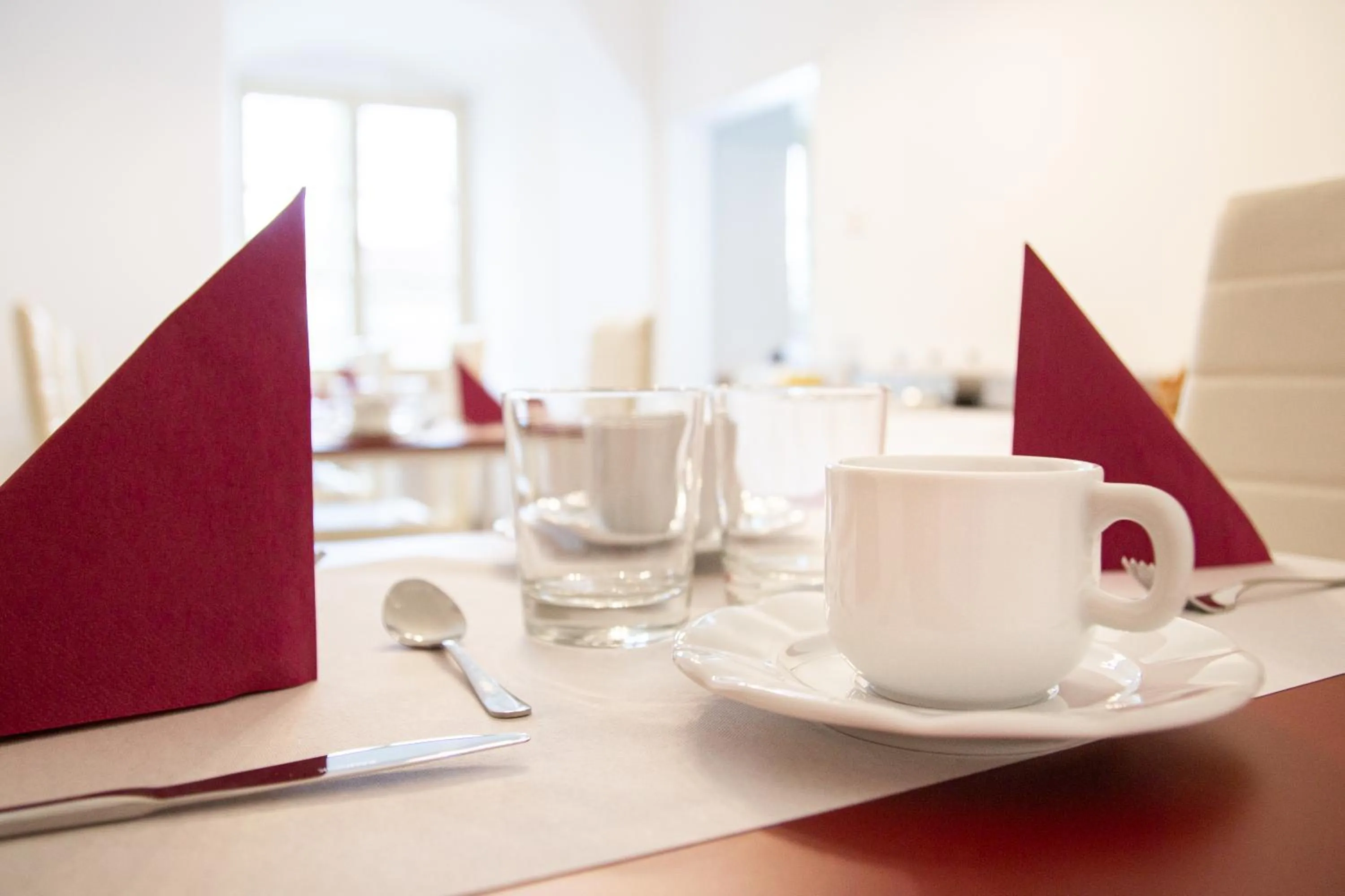 Breakfast in Hotel Tynec