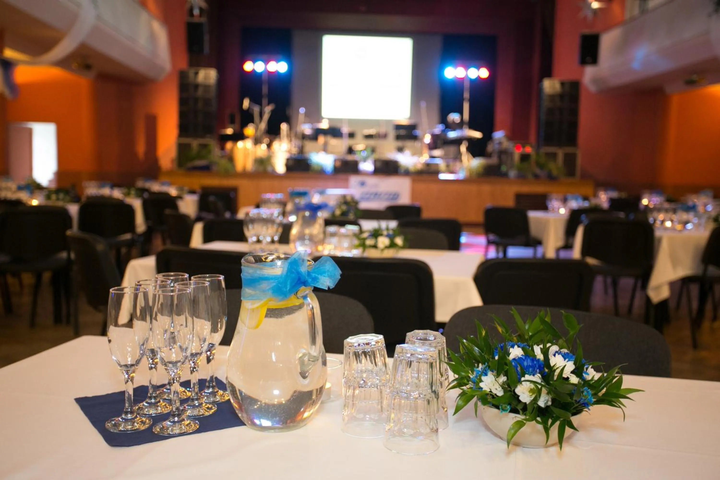 Business facilities in Hotel Tynec