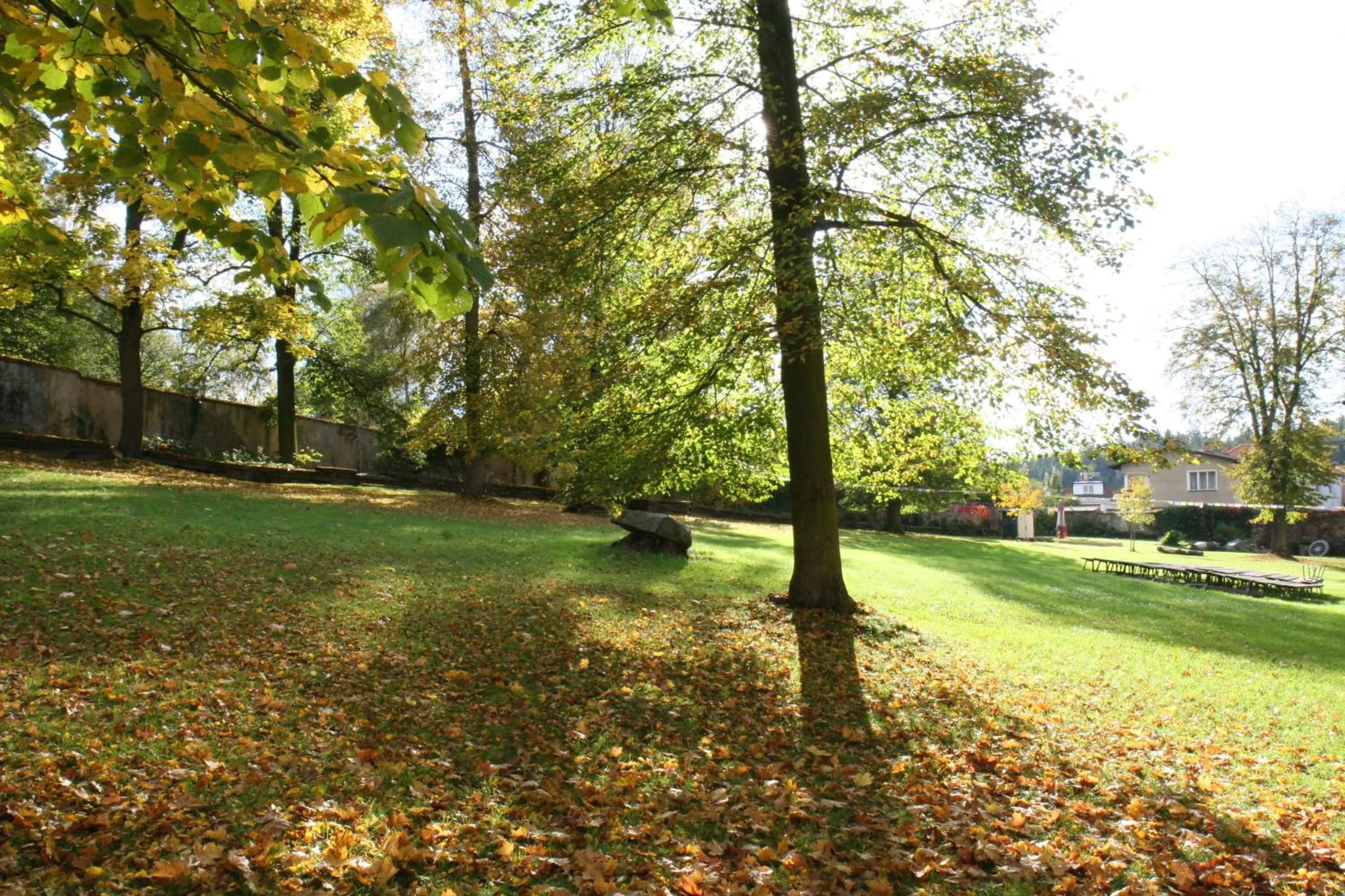 Garden in Hotel Tynec