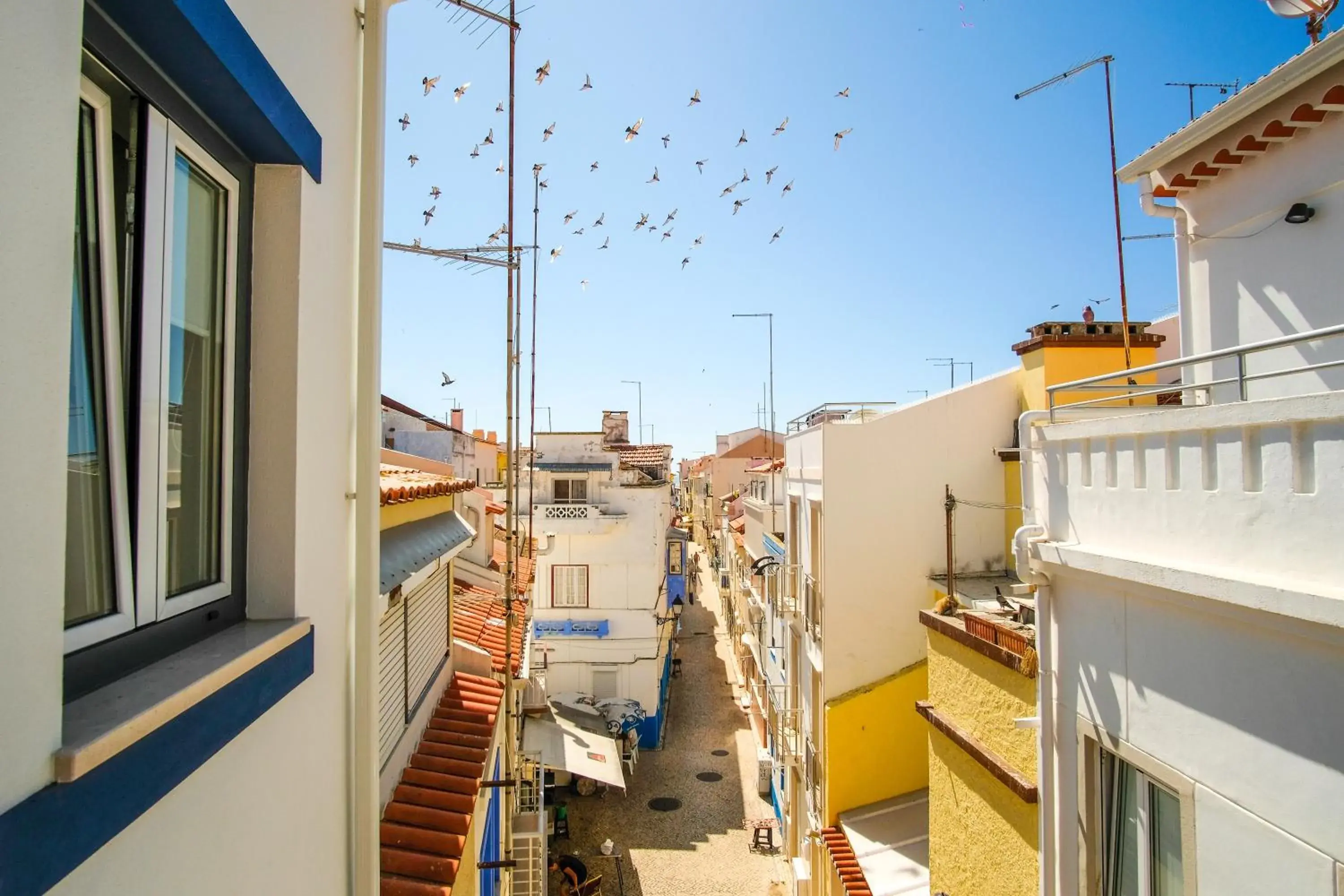 Feel Nazaré - Boutique Apartments Feel Nazaré - Boutique Apartments