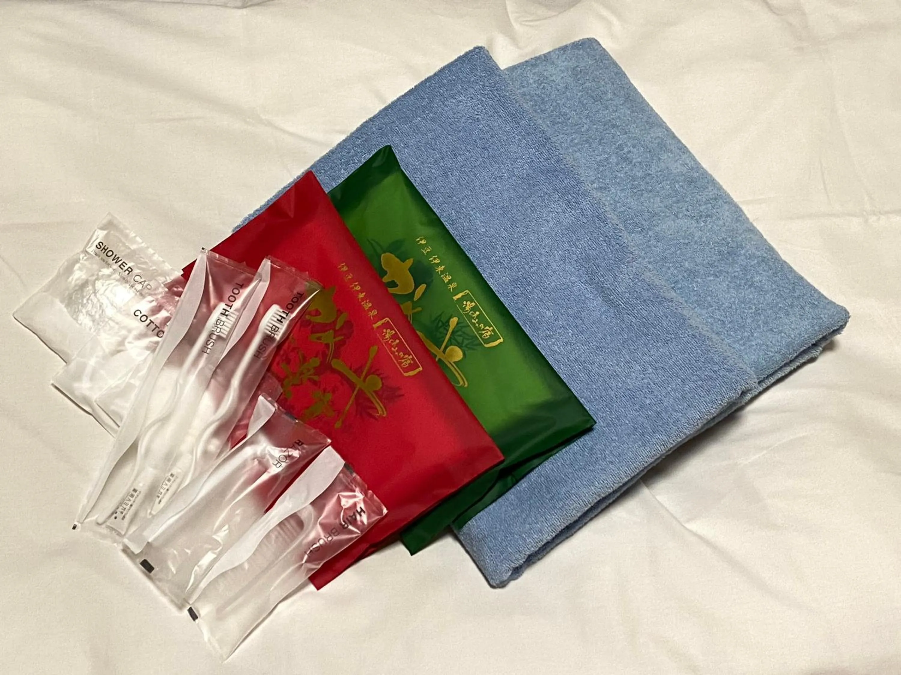 Hot Spring Bath in Kameya Rakan