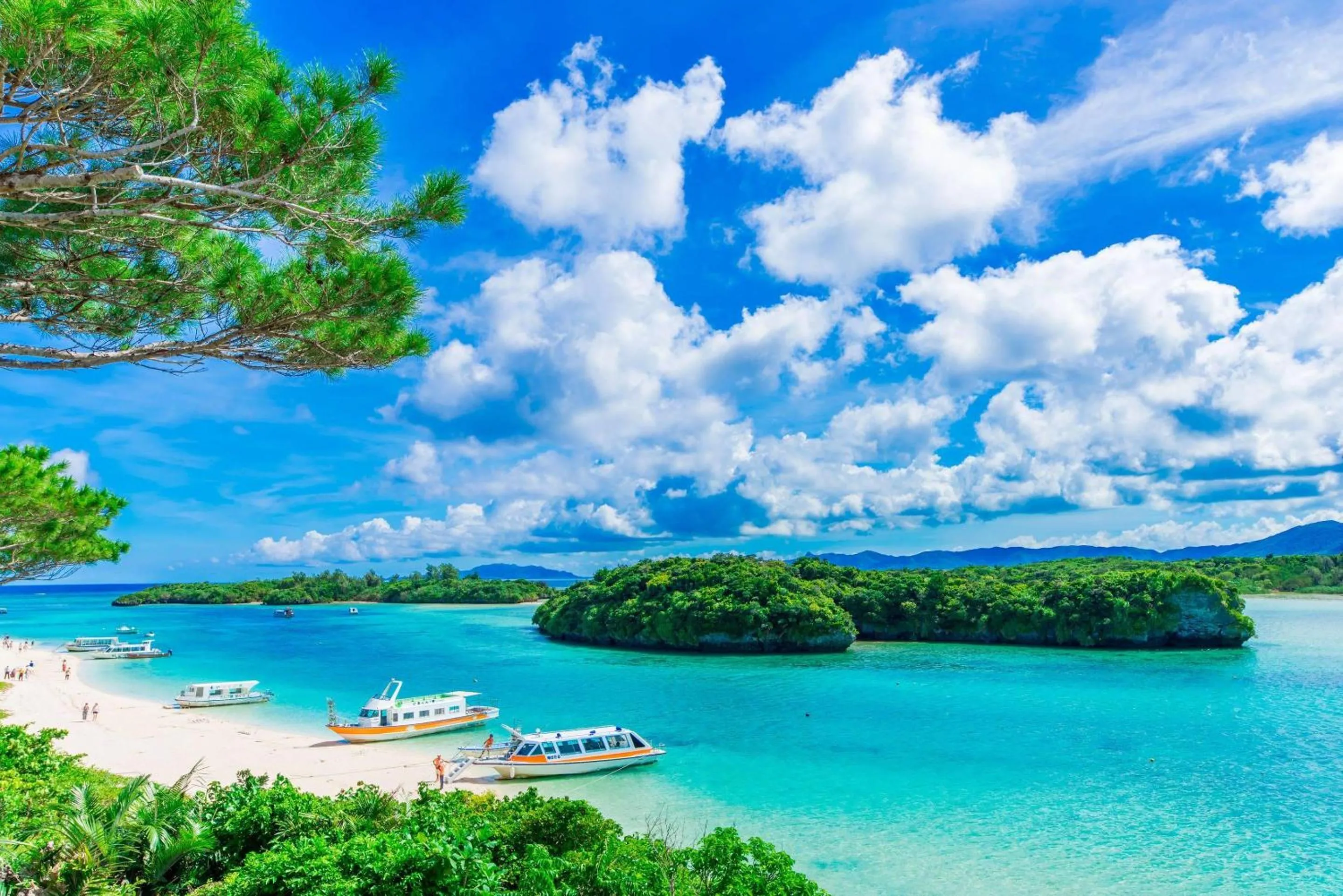 Other in Comfort Hotel Ishigaki Island