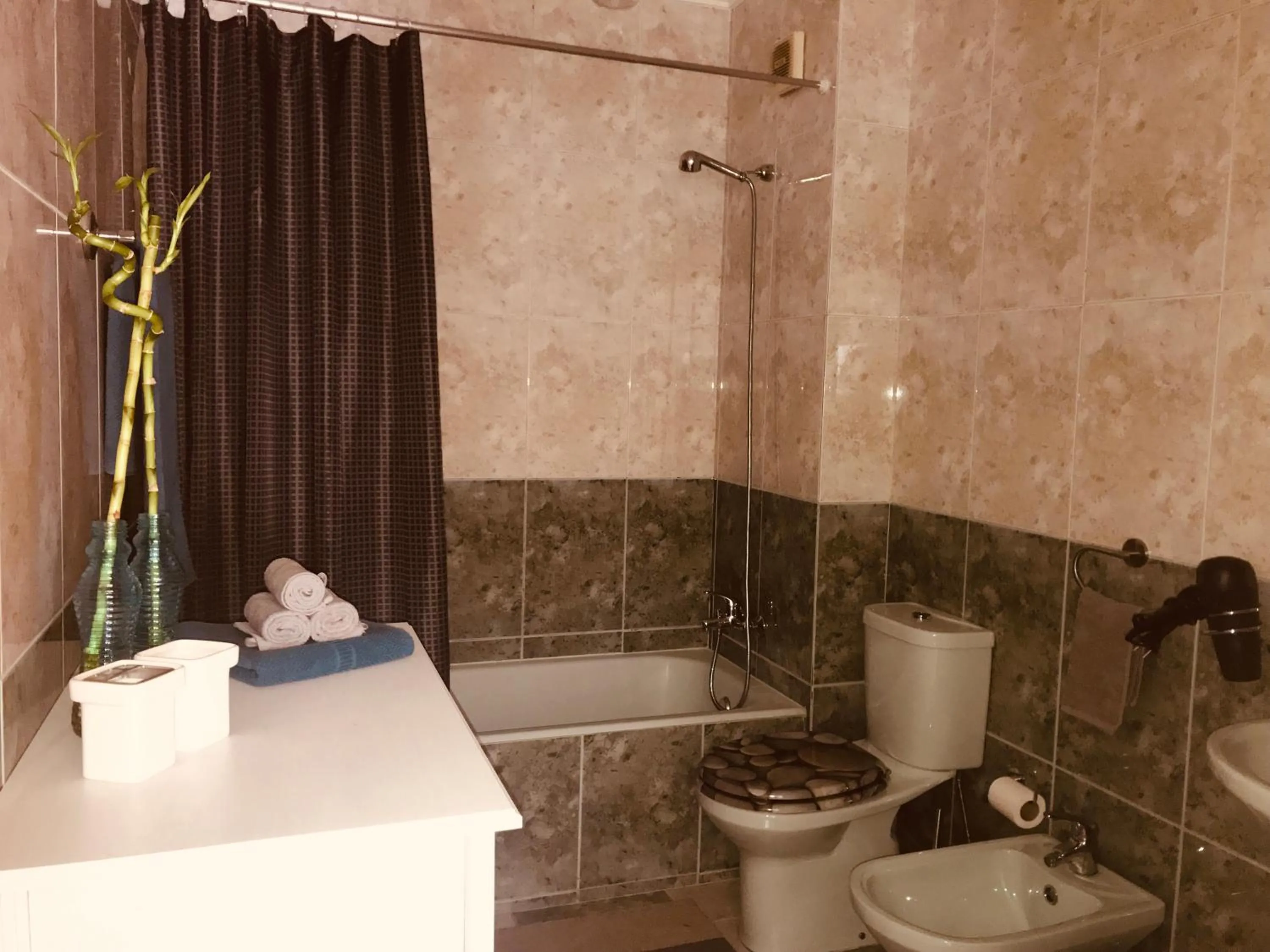 Toilet in Holiday Flat Green Coast