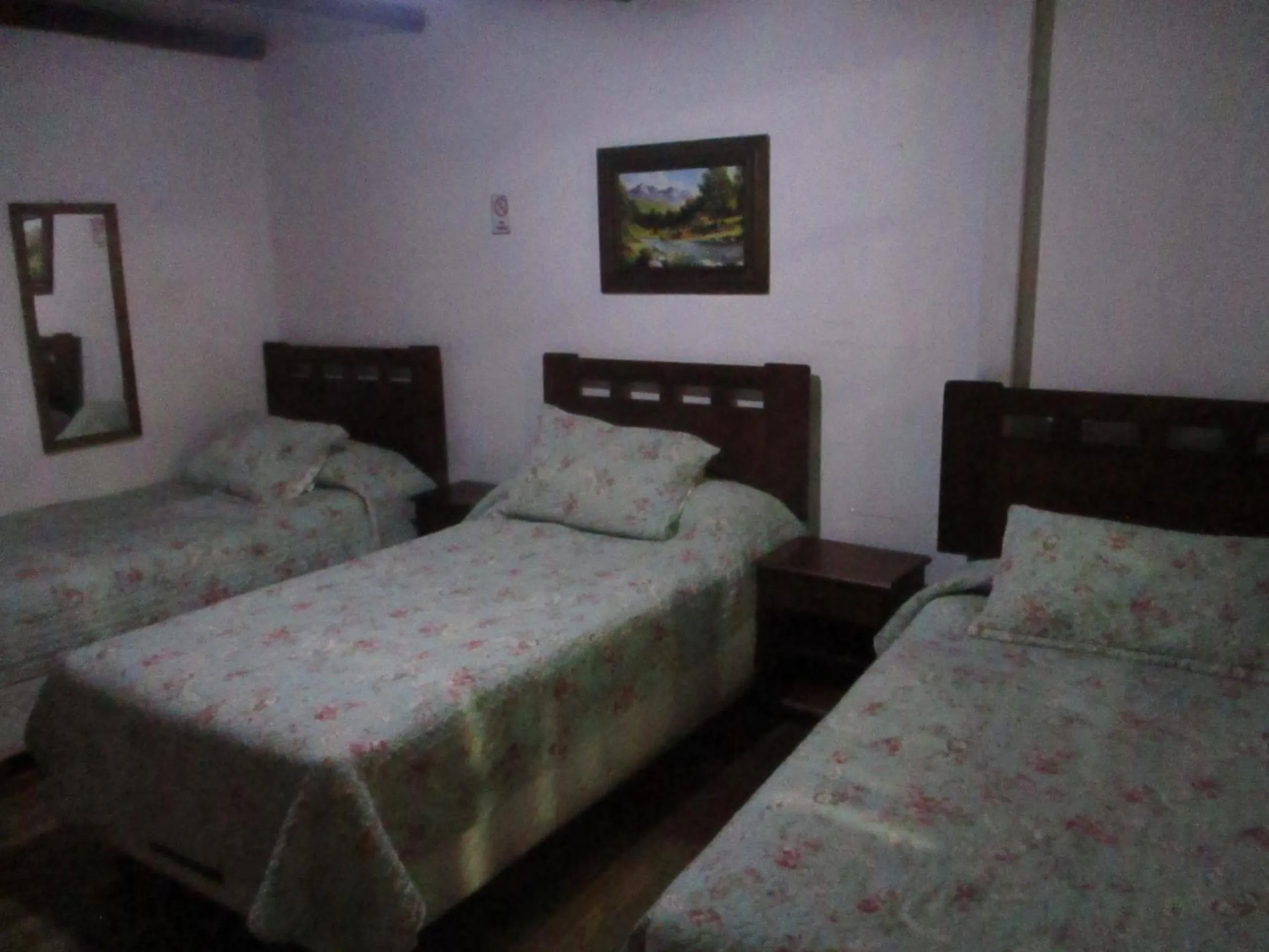 Hotel Centro Sur - Colonial