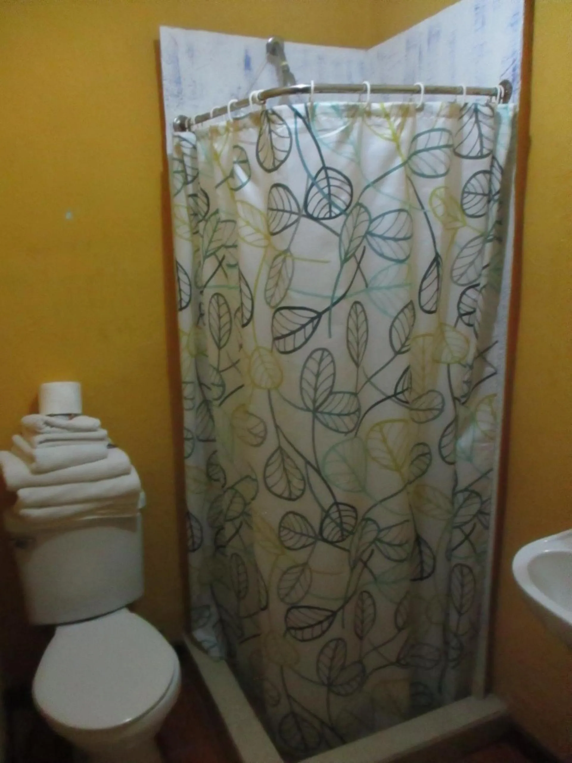 Hotel Centro Sur - Colonial