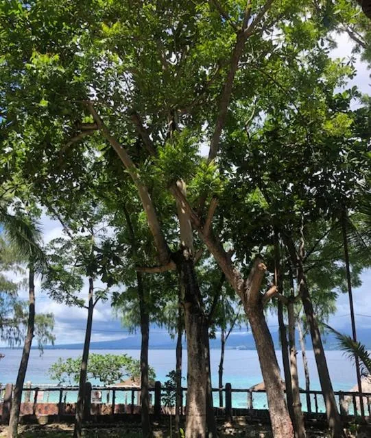 Natural landscape in Santander Pebble Beach Resort