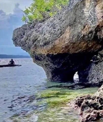 Natural landscape in Santander Pebble Beach Resort