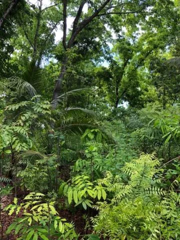 Natural landscape in Santander Pebble Beach Resort