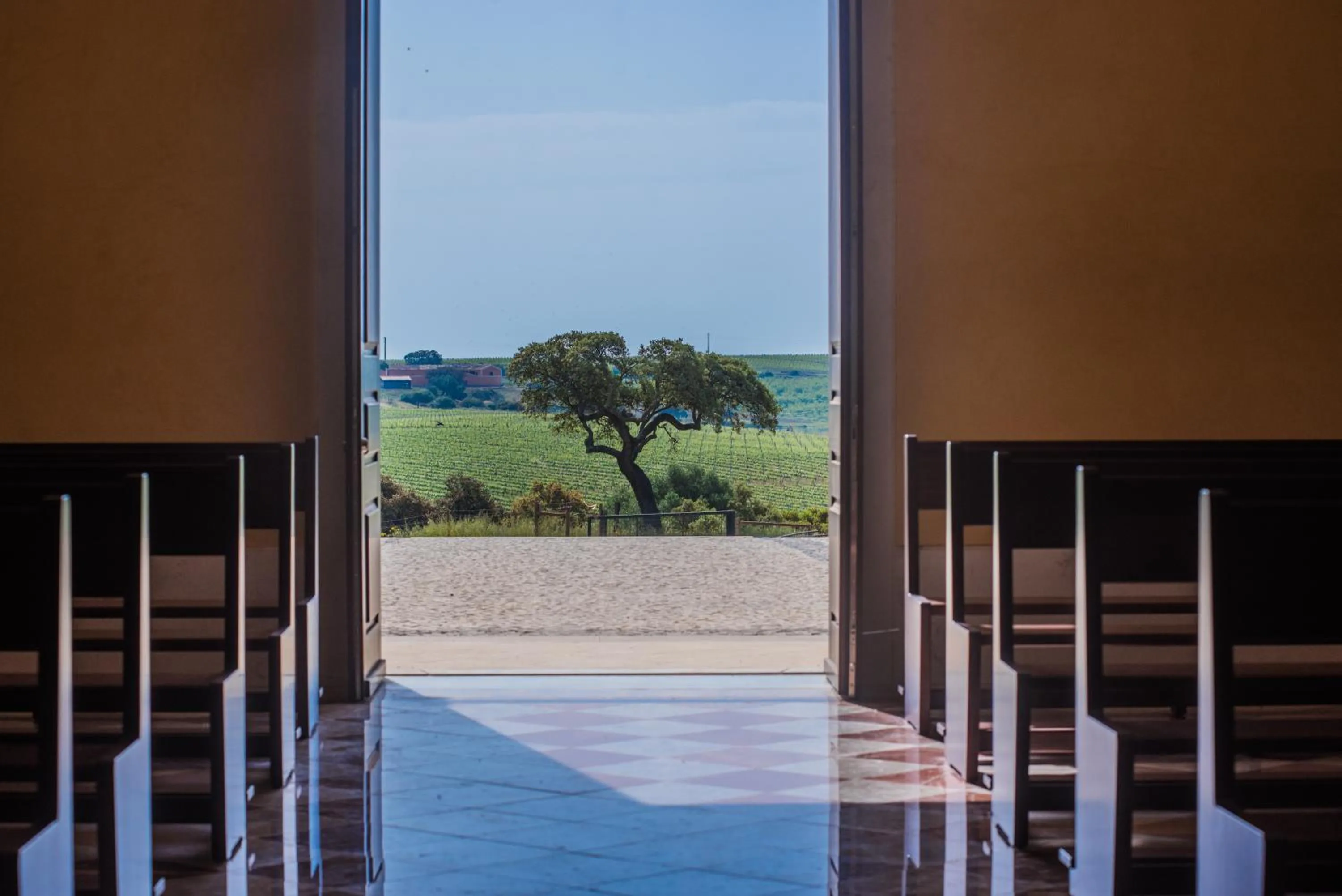 Area and facilities in Vila Gale Alentejo Vineyard - Clube de Campo