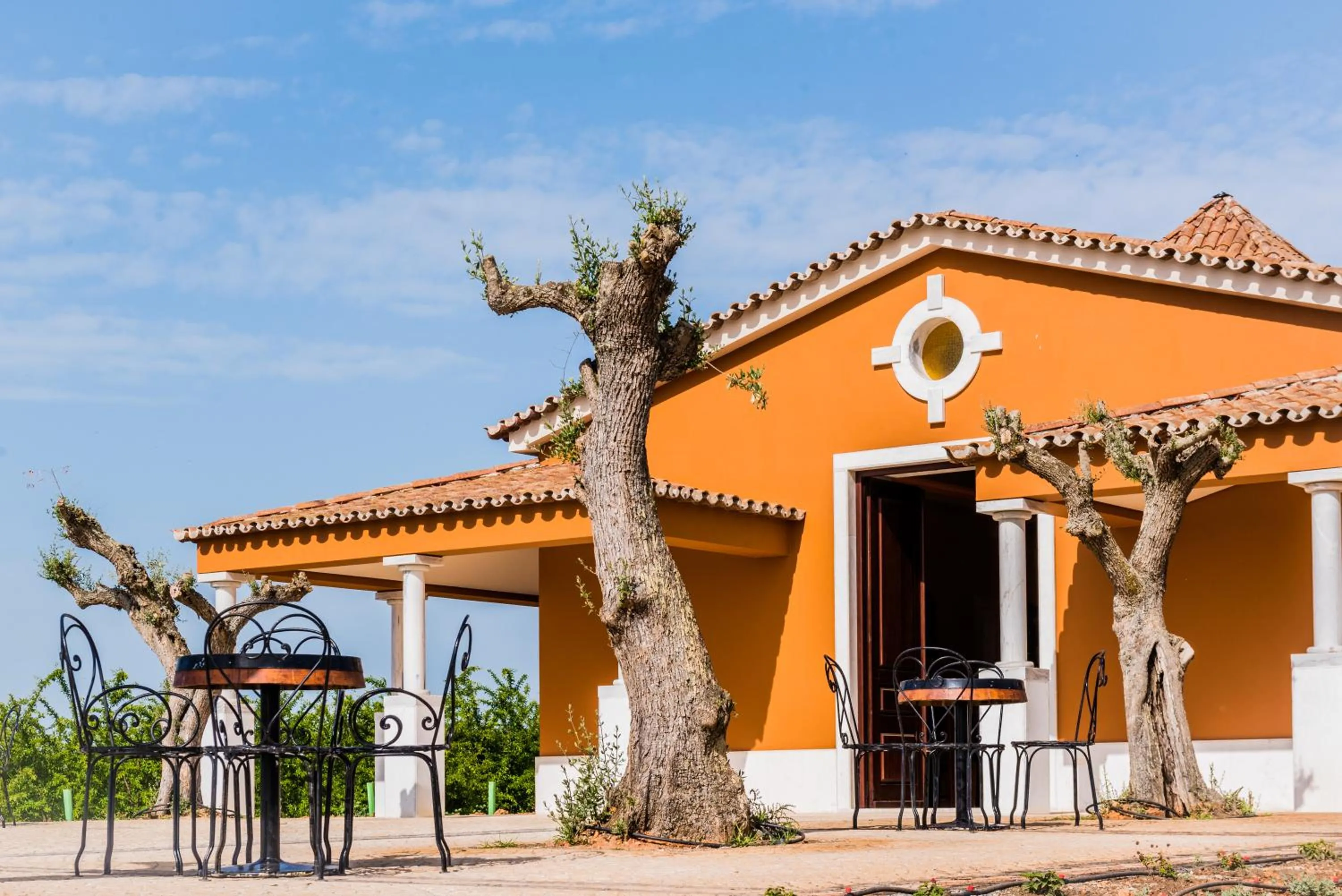 Property building in Vila Gale Alentejo Vineyard - Clube de Campo