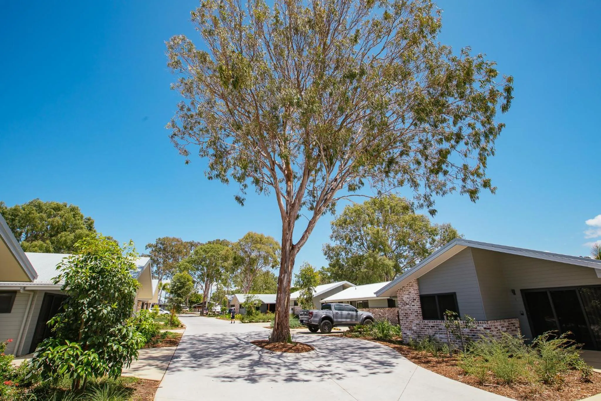 Garden in BIG4 Sandstone Point Holiday Resort Bribie Island