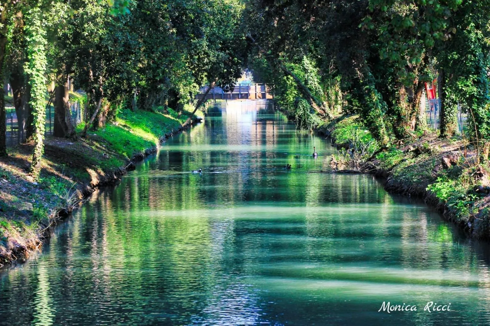 Property building in il gabbiano giallo