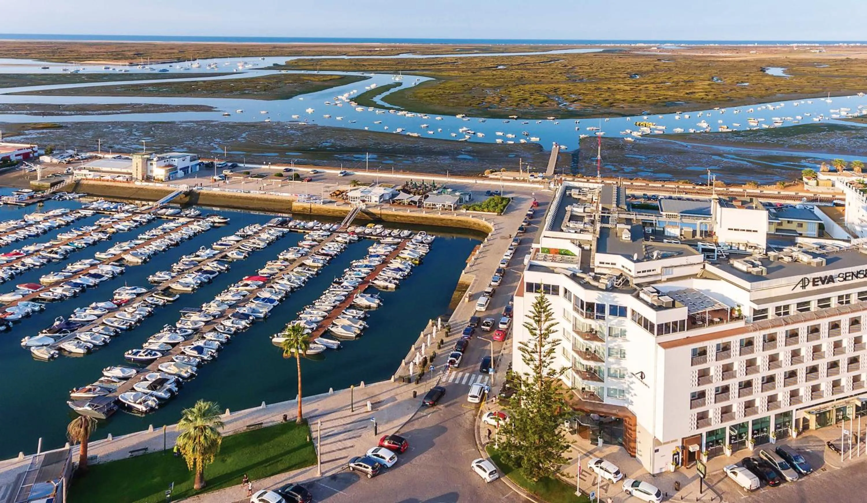 Property building in AP Eva Senses