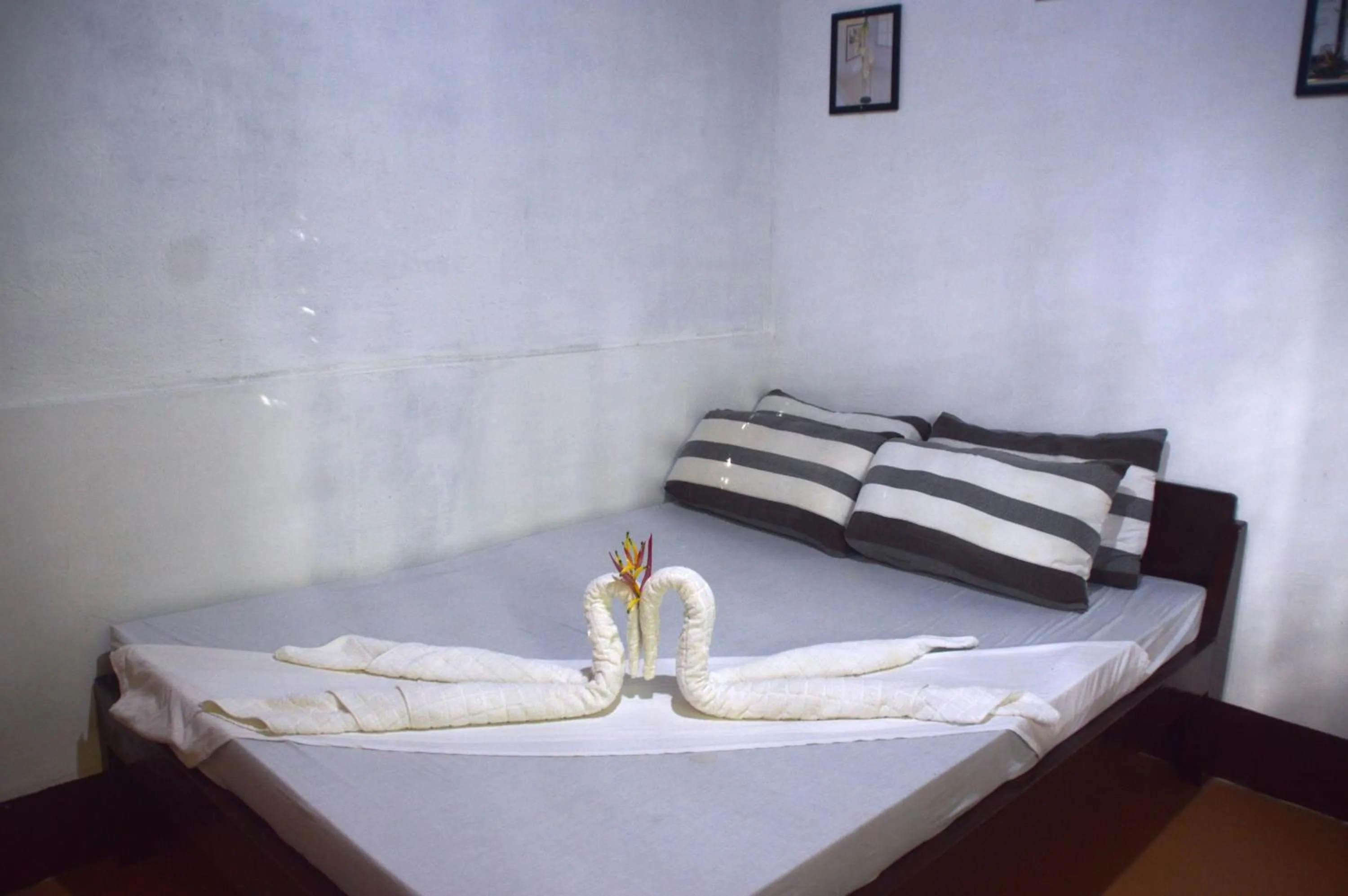 Bed in Victordelia Hilltop Hostel