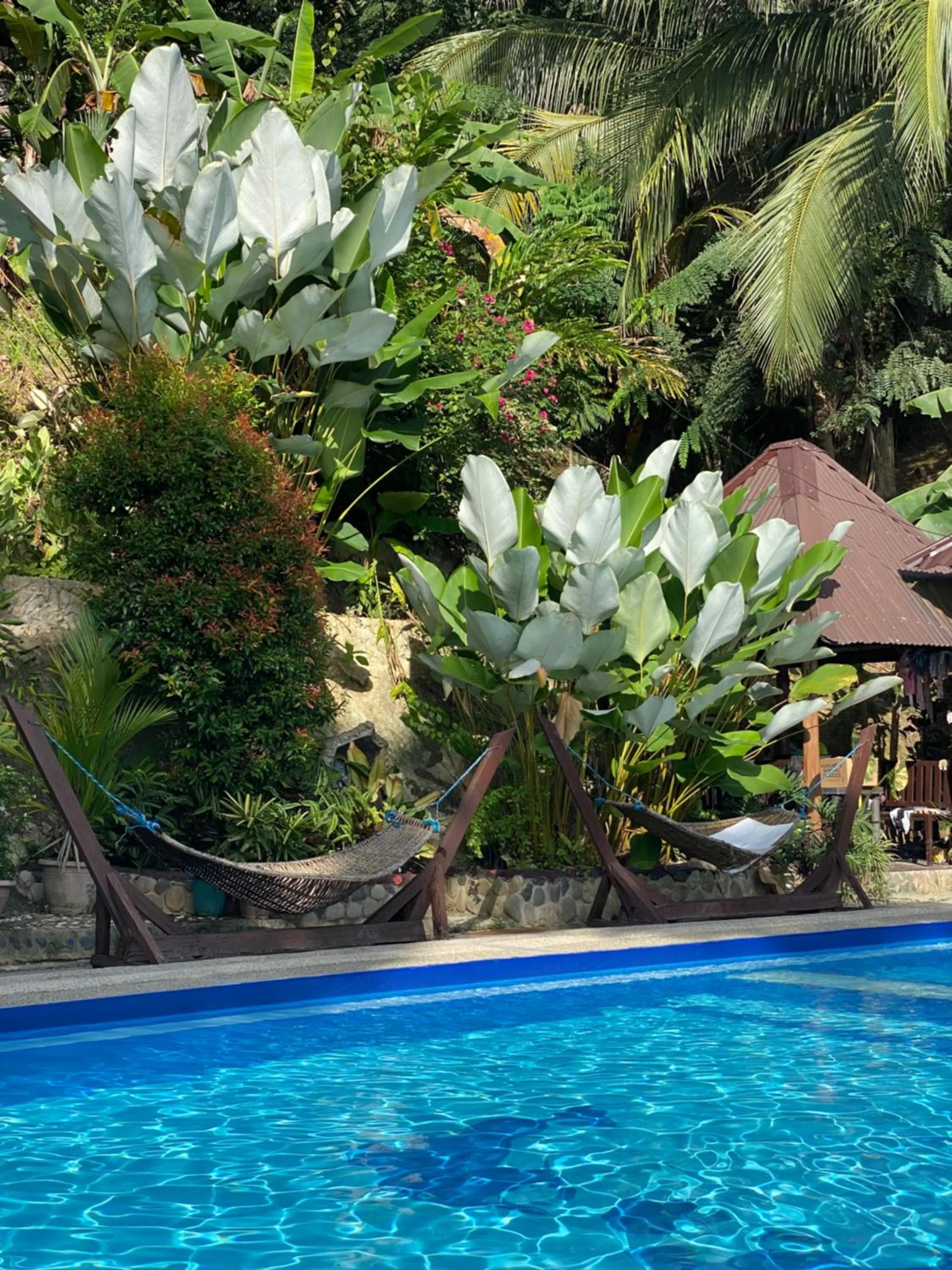 Victordelia Hilltop Hostel