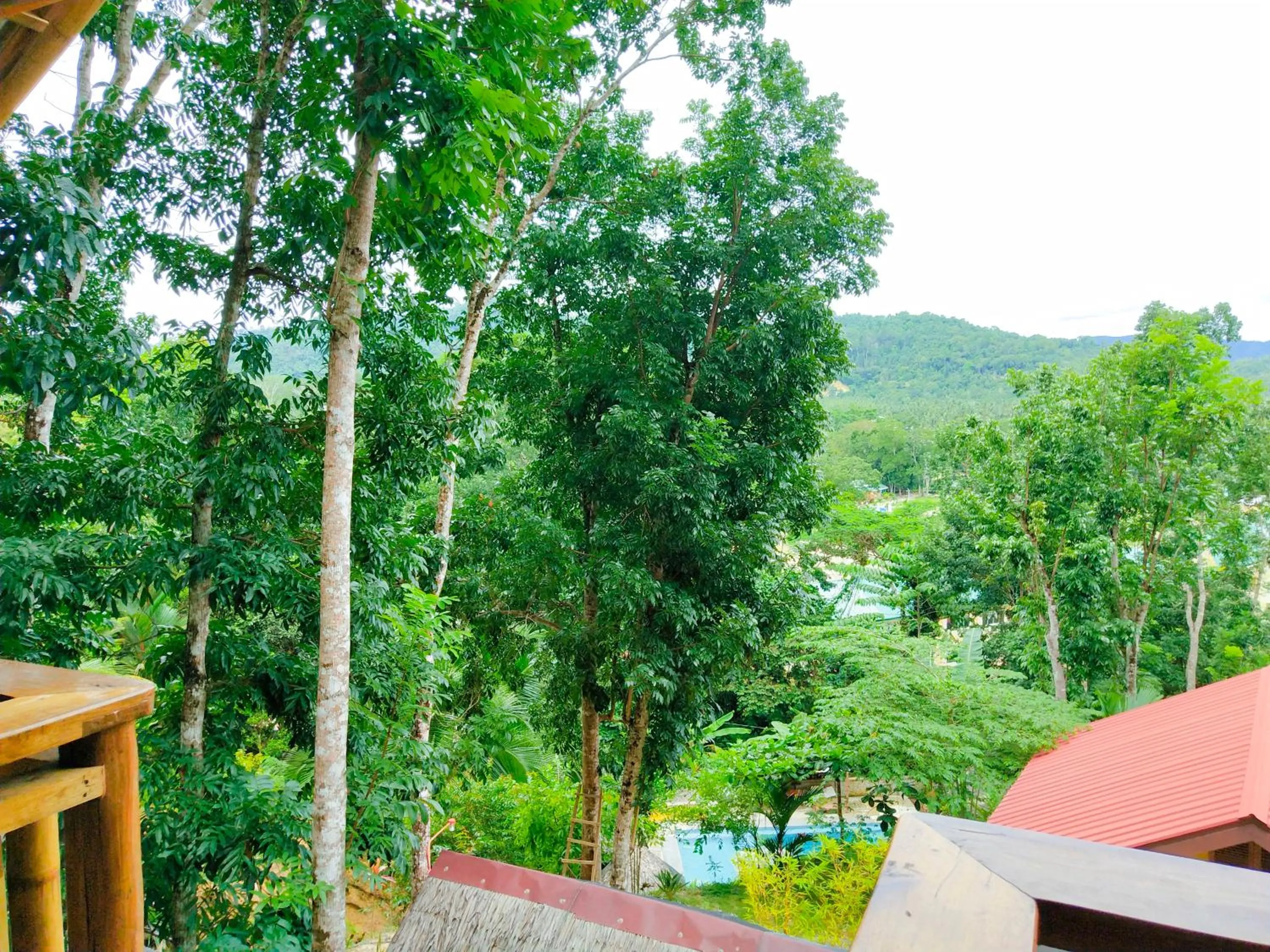 Natural landscape in Victordelia Hilltop Hostel