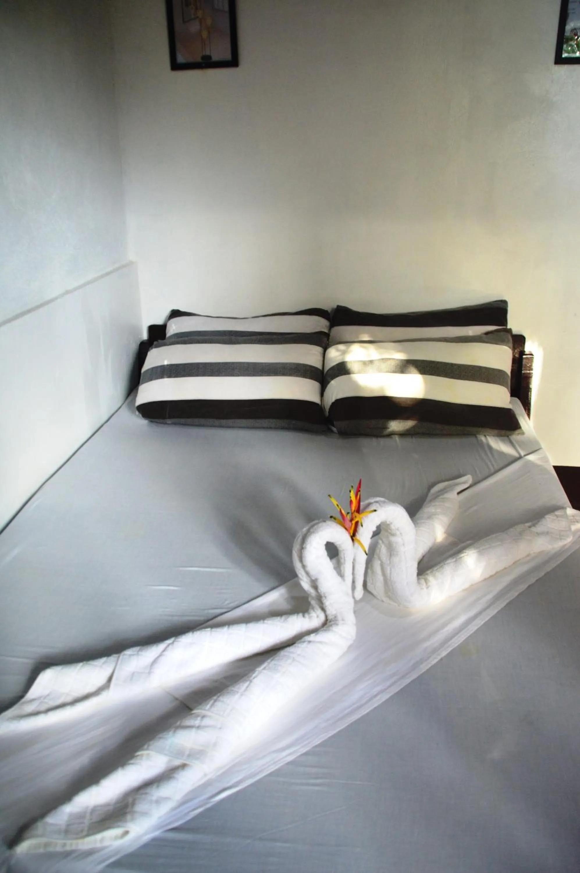 Bed in Victordelia Hilltop Hostel