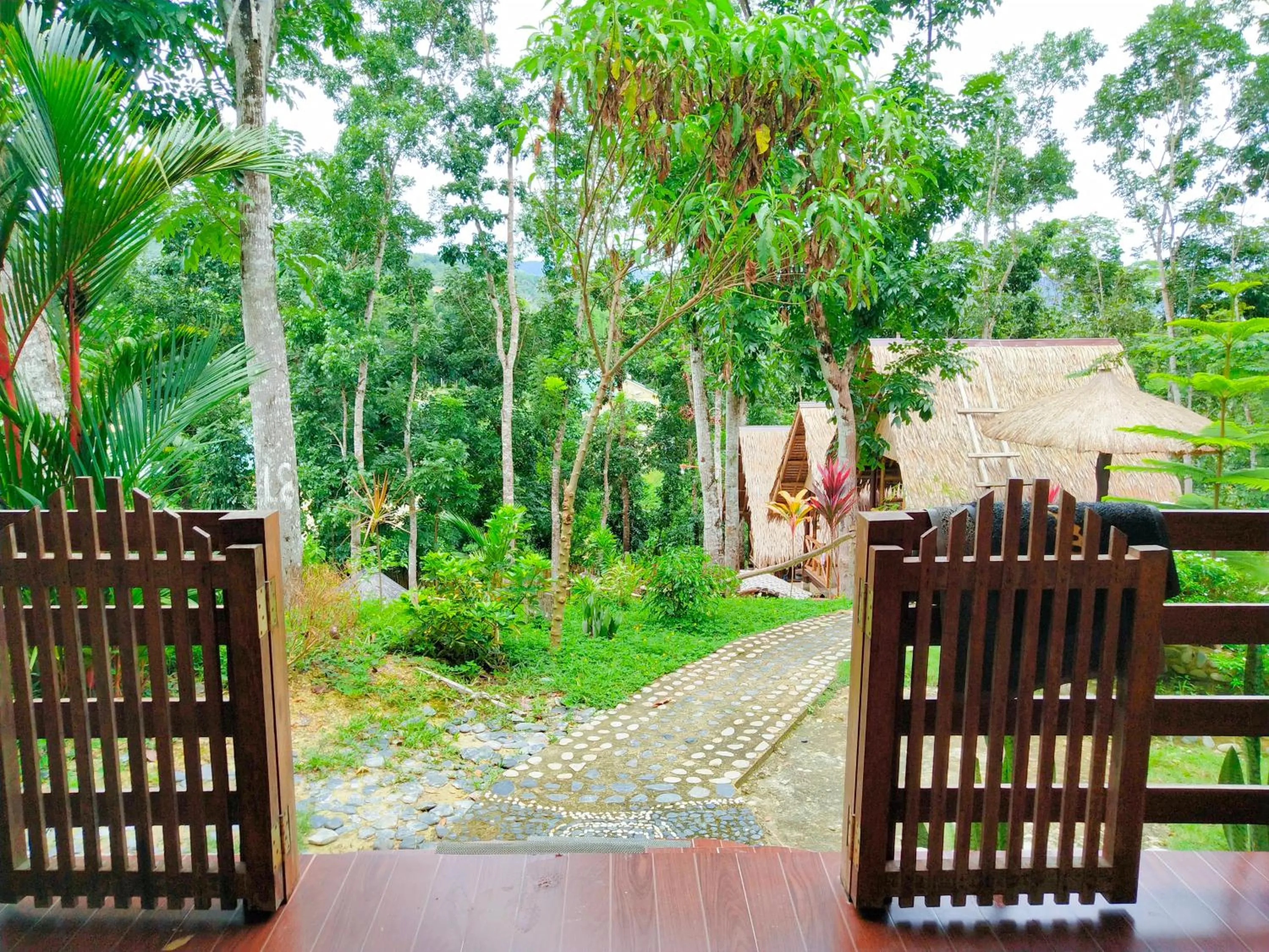 Garden in Victordelia Hilltop Hostel