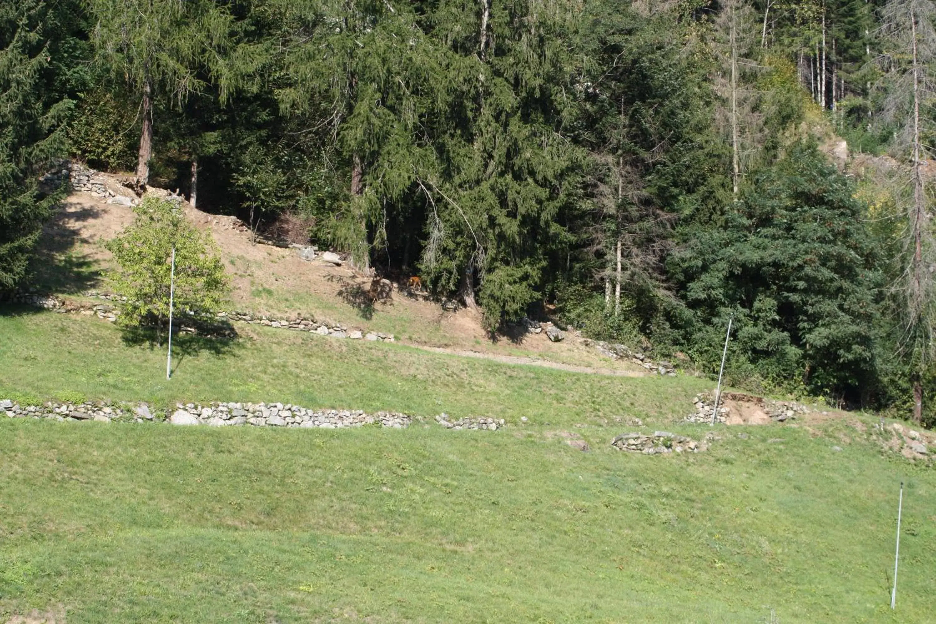 Hotel Michela Hotel Michela