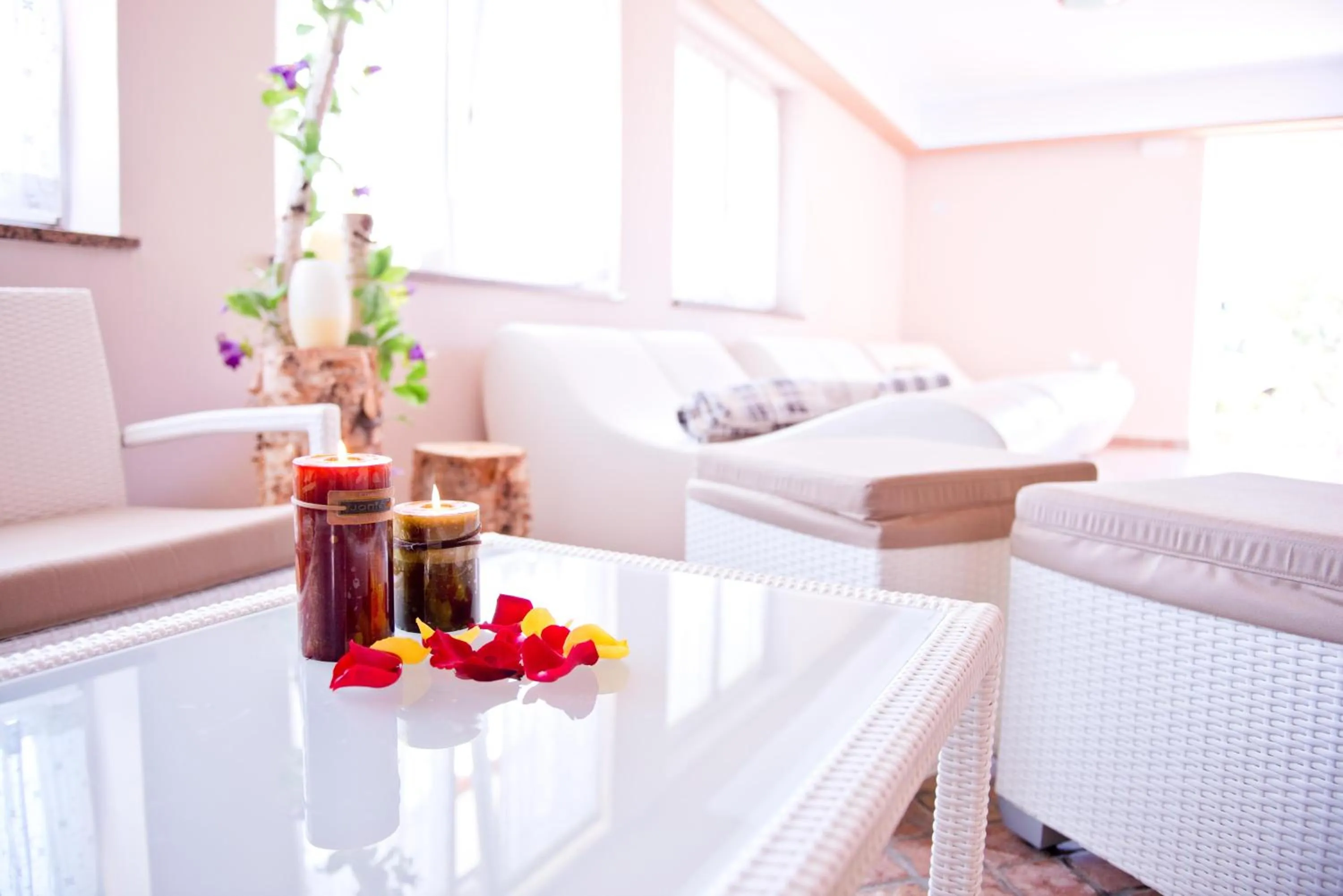 Spa and wellness centre/facilities in Hotel Michela