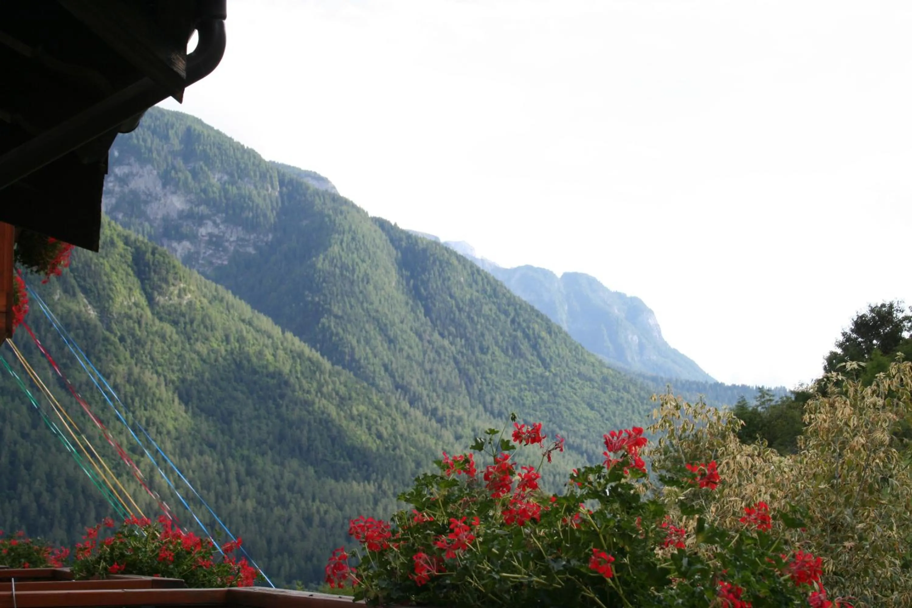 Mountain view in Hotel Michela