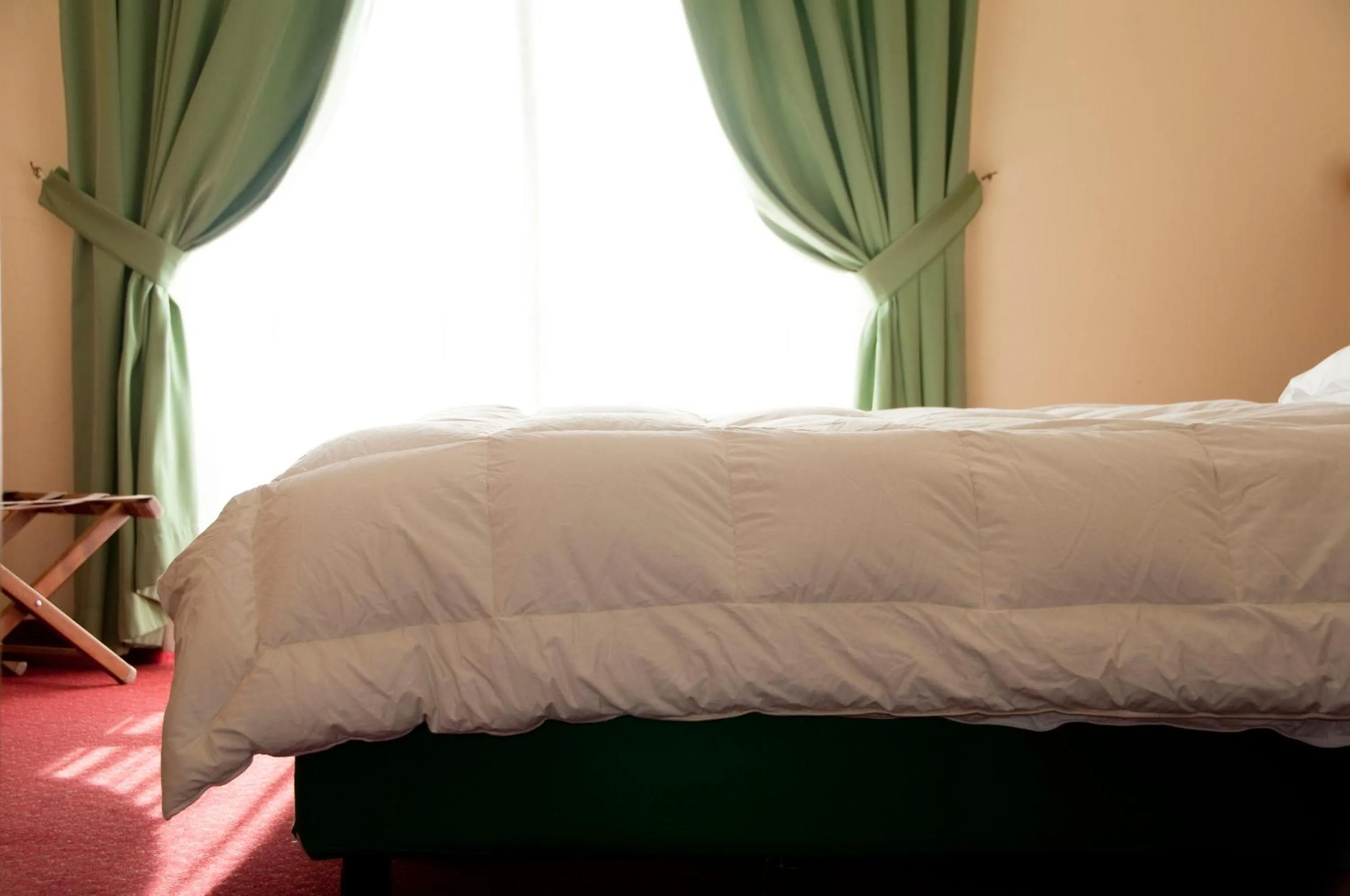 Mountain view, Bed in Hotel Michela