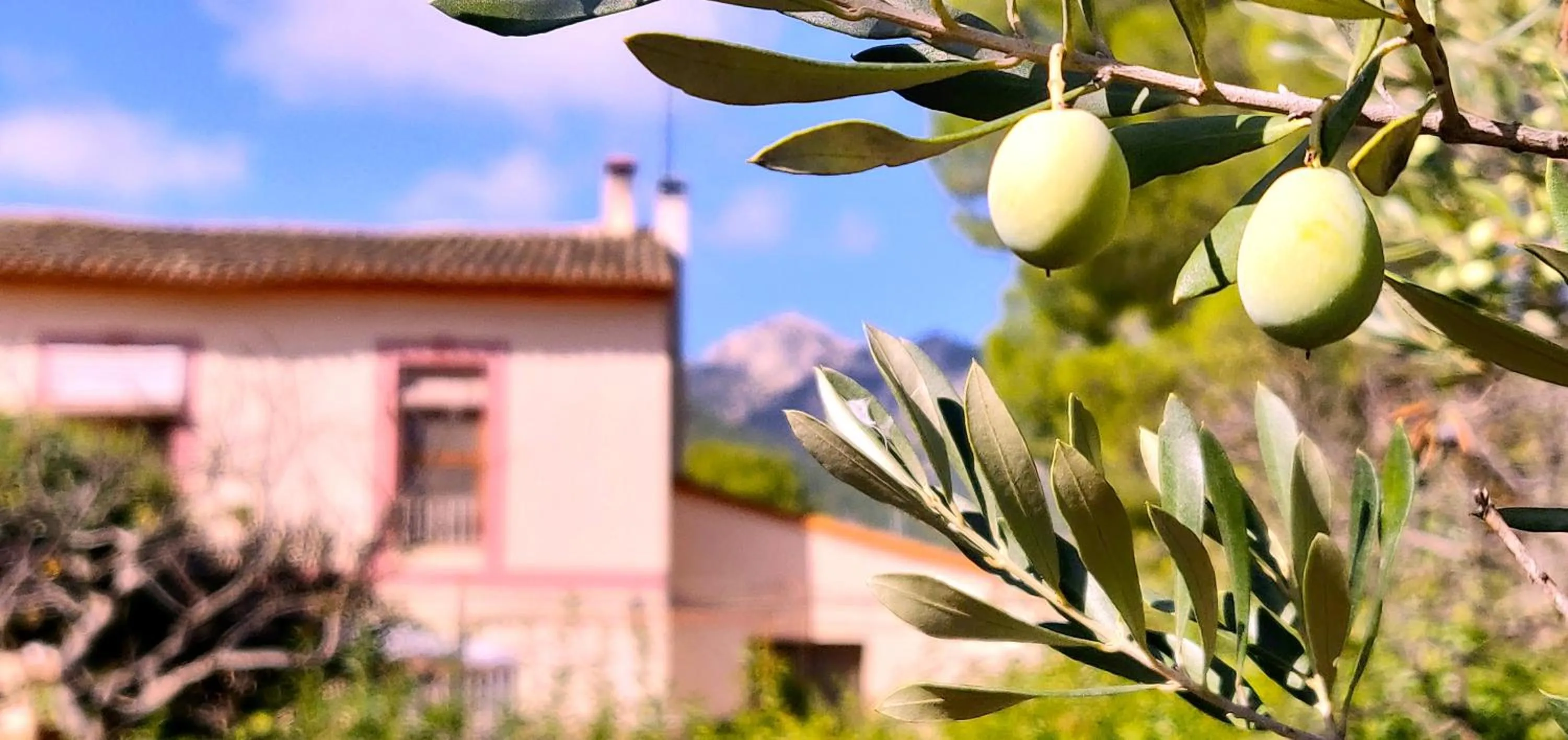 Day in Casa de Los Lirios