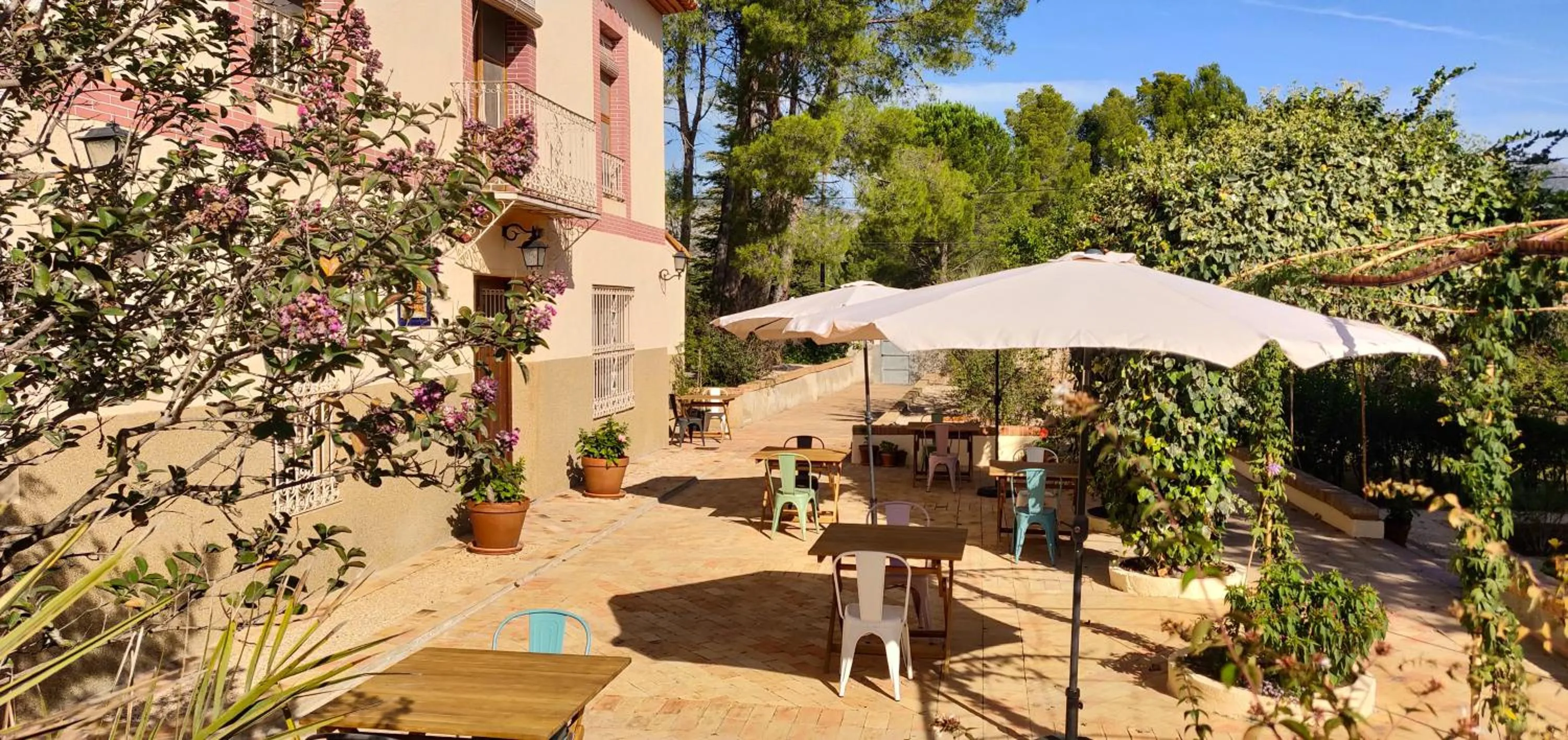 Garden in Casa de Los Lirios