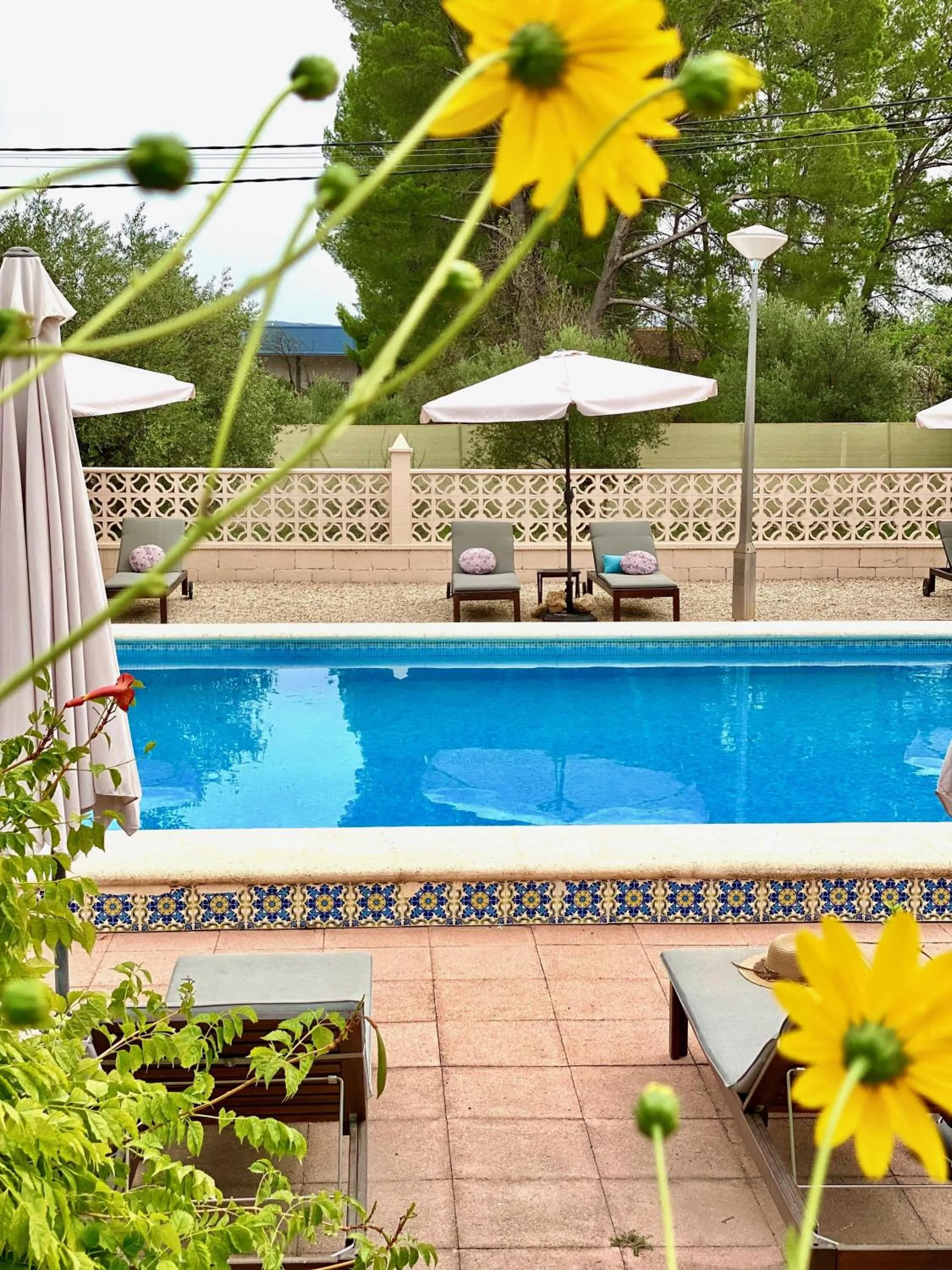 Swimming pool in Casa de Los Lirios