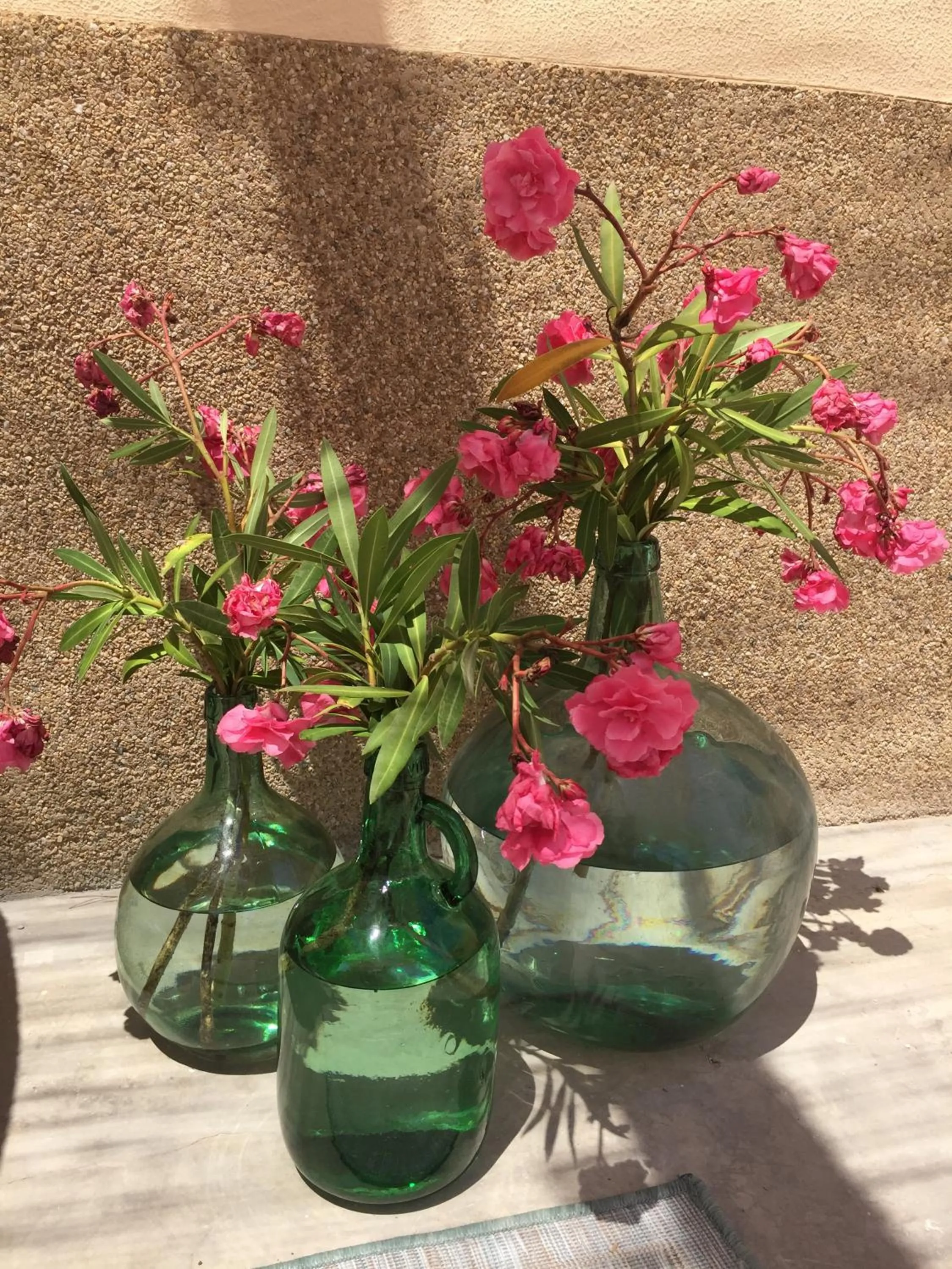 Garden in Casa de Los Lirios