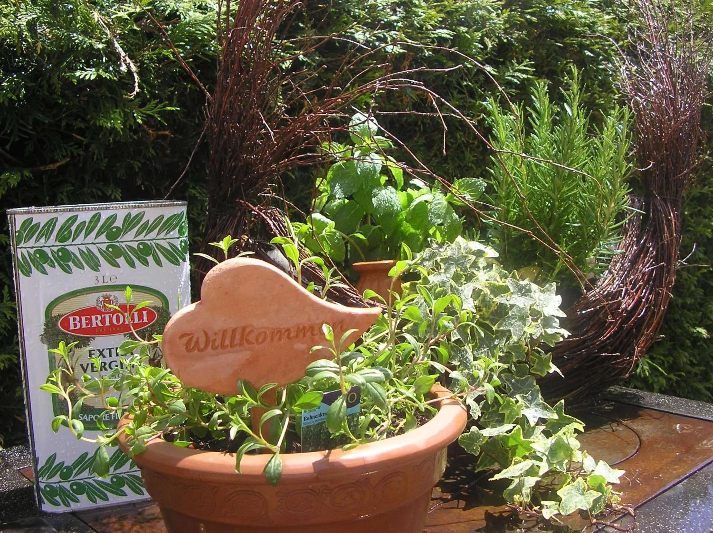 Property building in Arthotel Ana Panorama