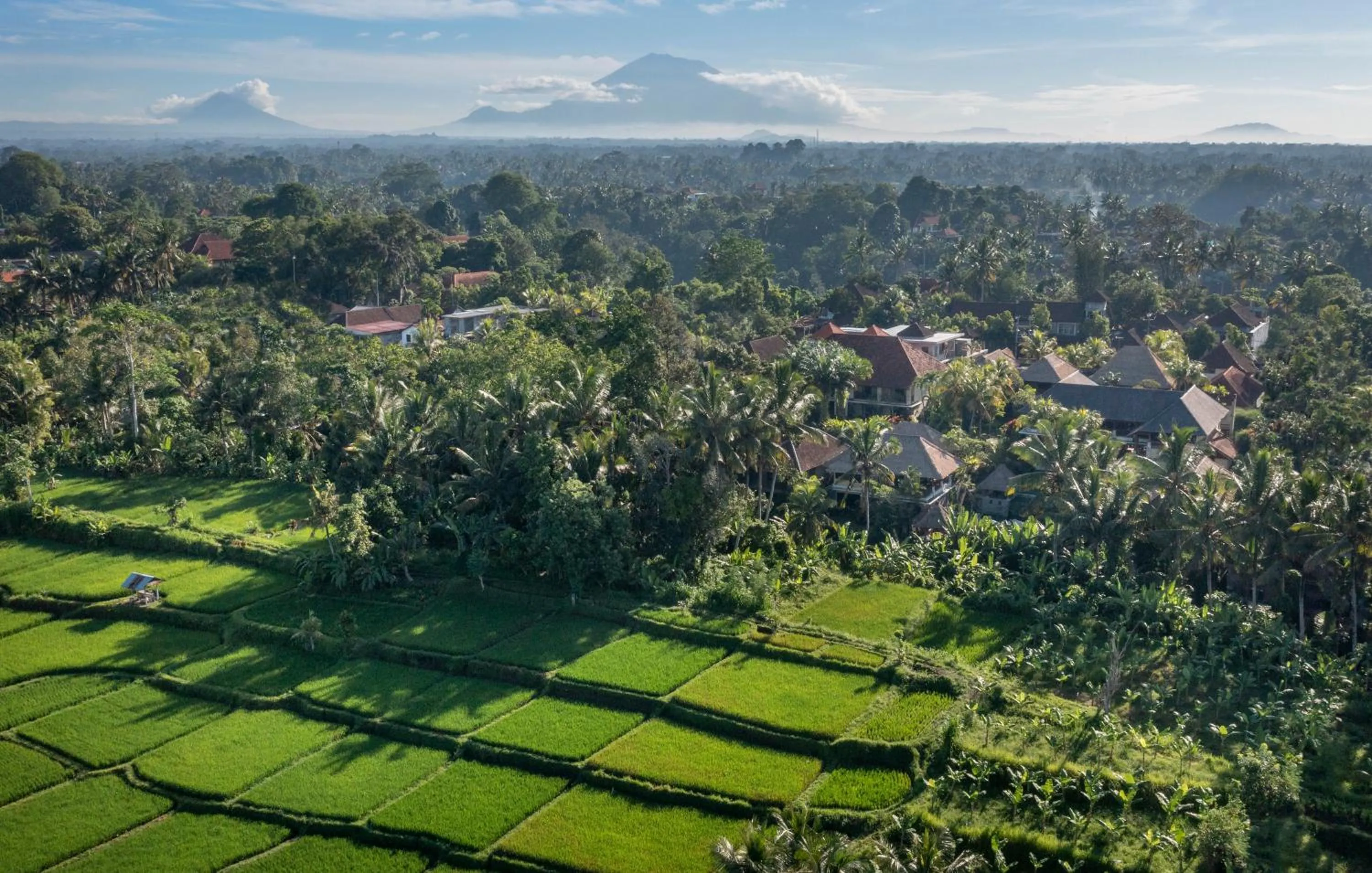 View (from property/room) in Kori Ubud Resort, Restaurant & Spa