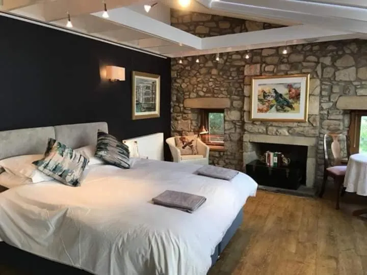 Deluxe Double Room with Castle View in The Studio at Maspie House