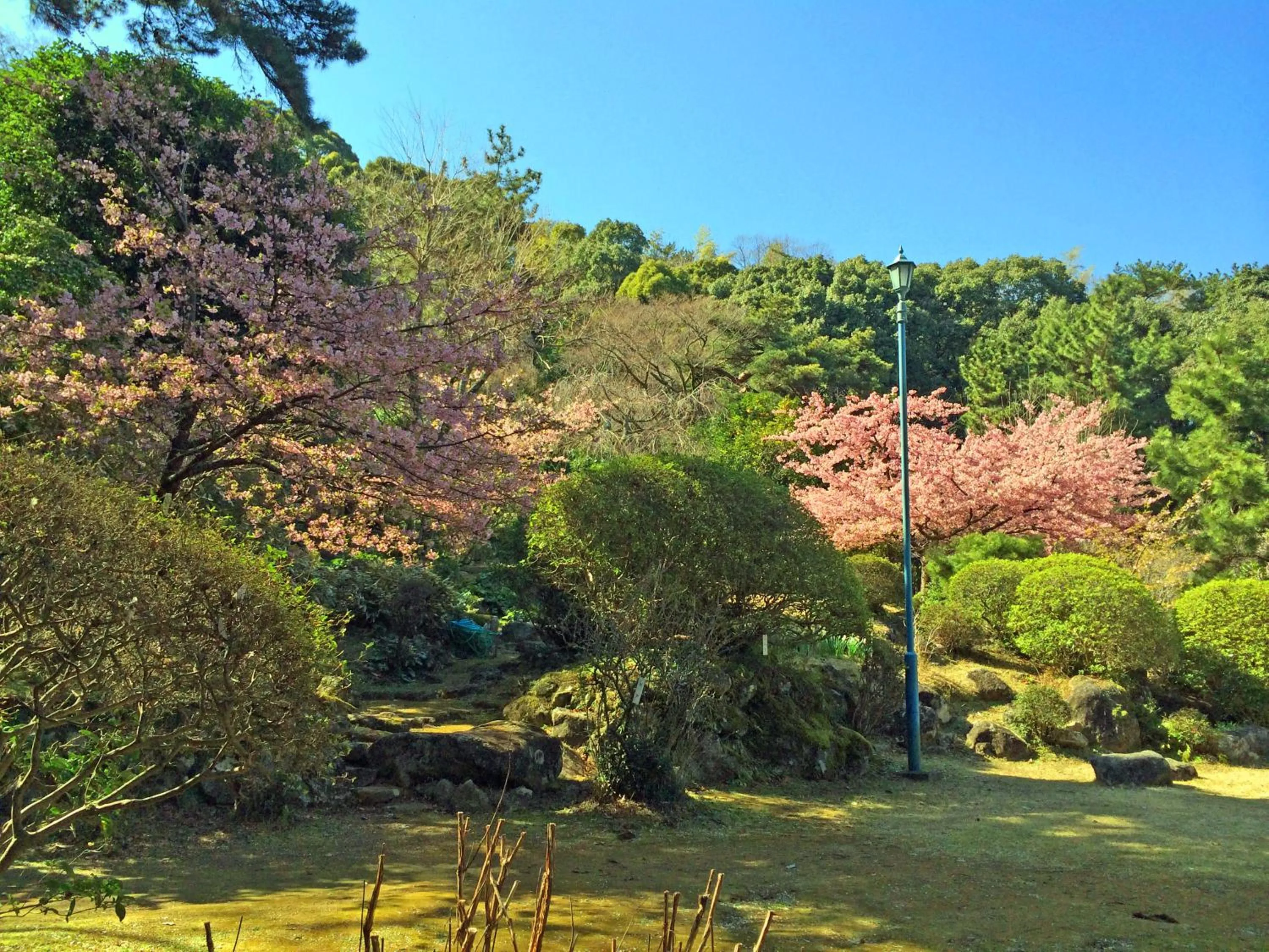 Garden in Izuajiro-onsen Shoufuen
