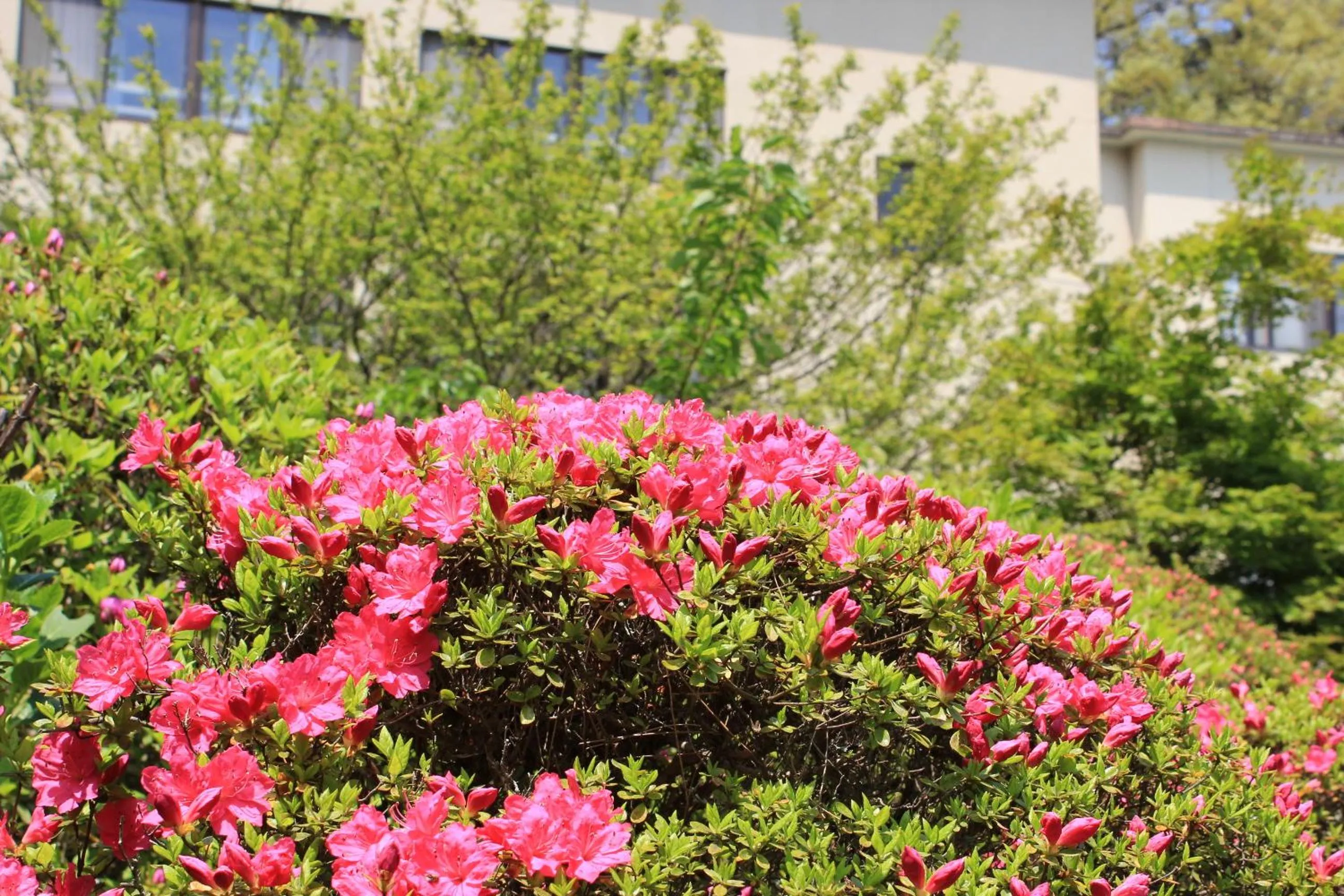 Other in Izuajiro-onsen Shoufuen