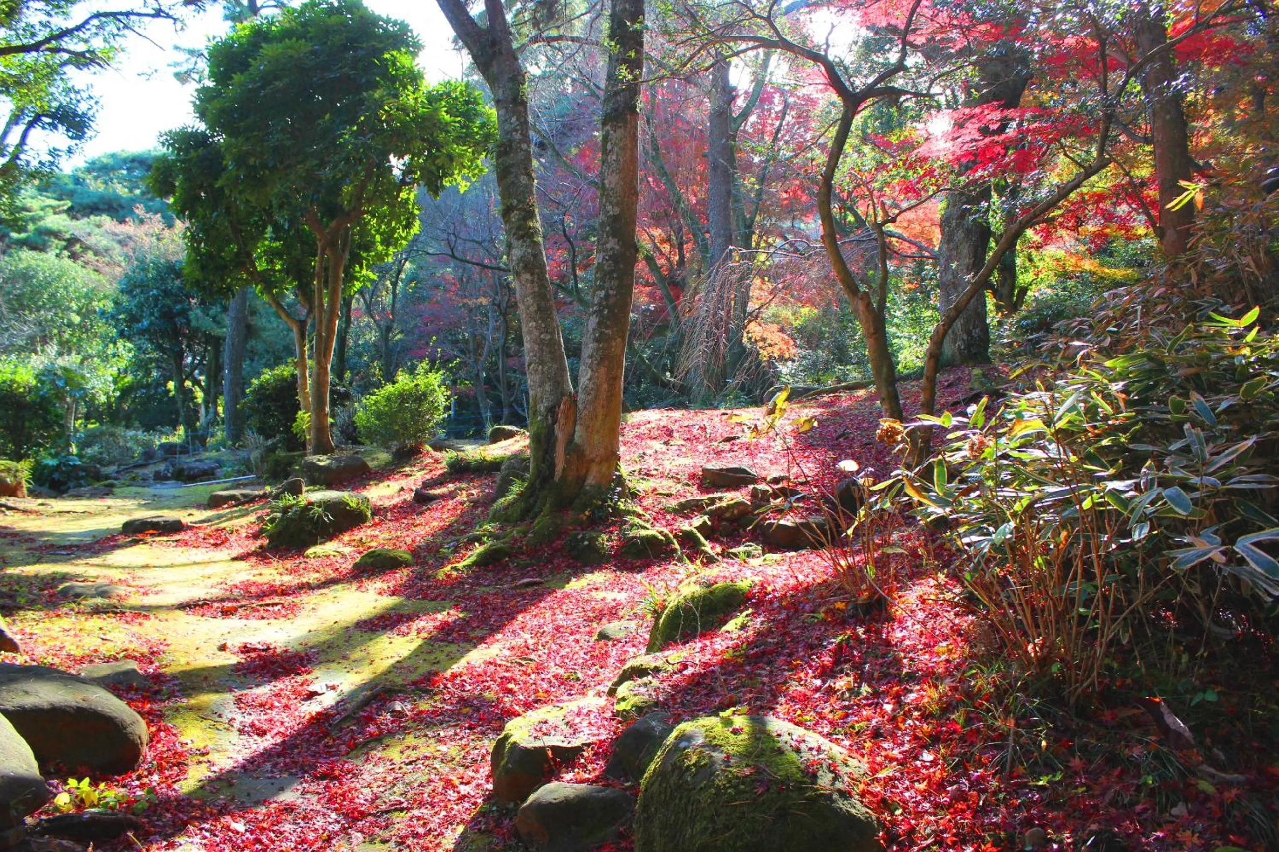 Garden in Izuajiro-onsen Shoufuen