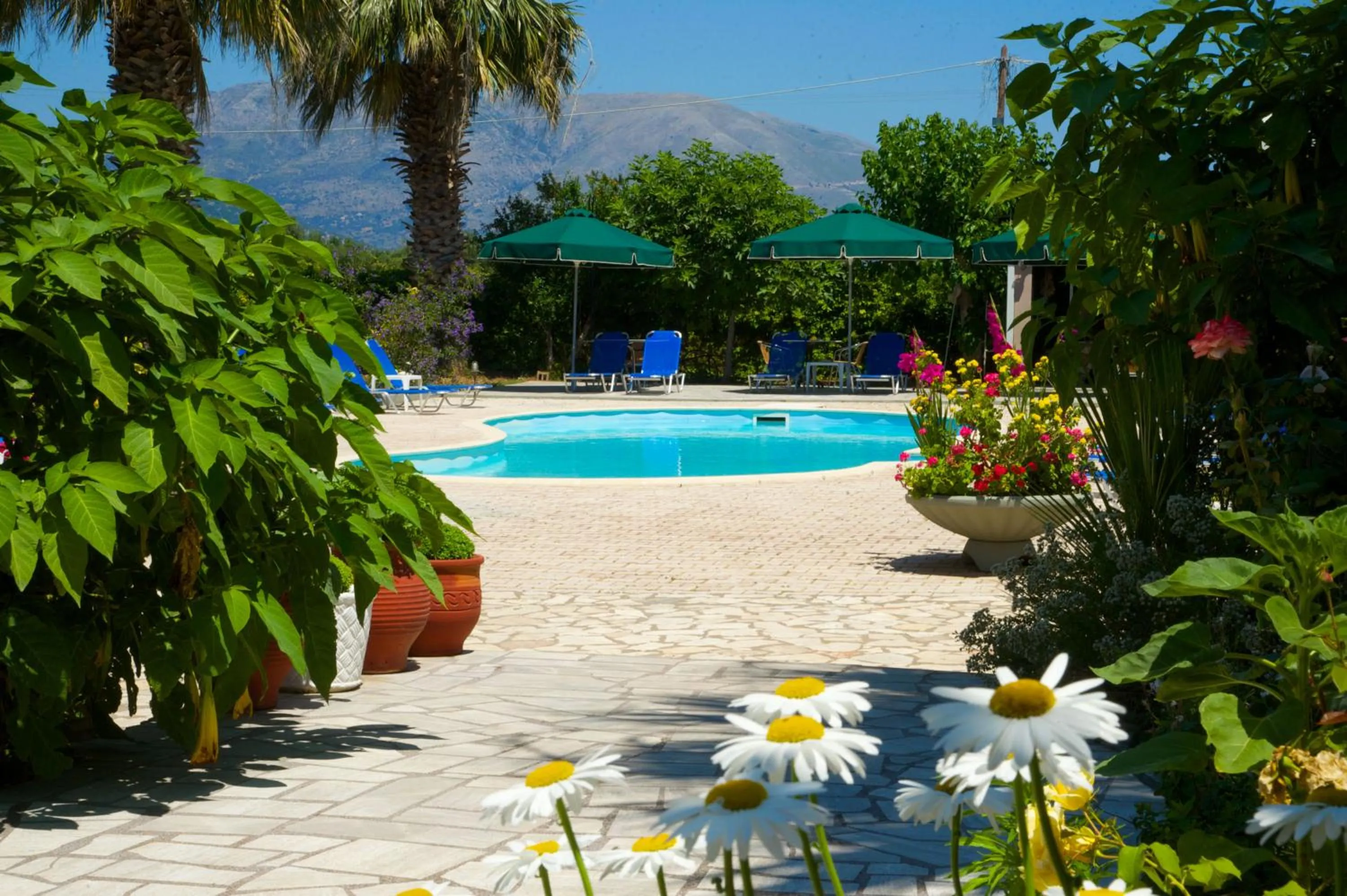 Swimming pool in Nikos Studios and Apartments