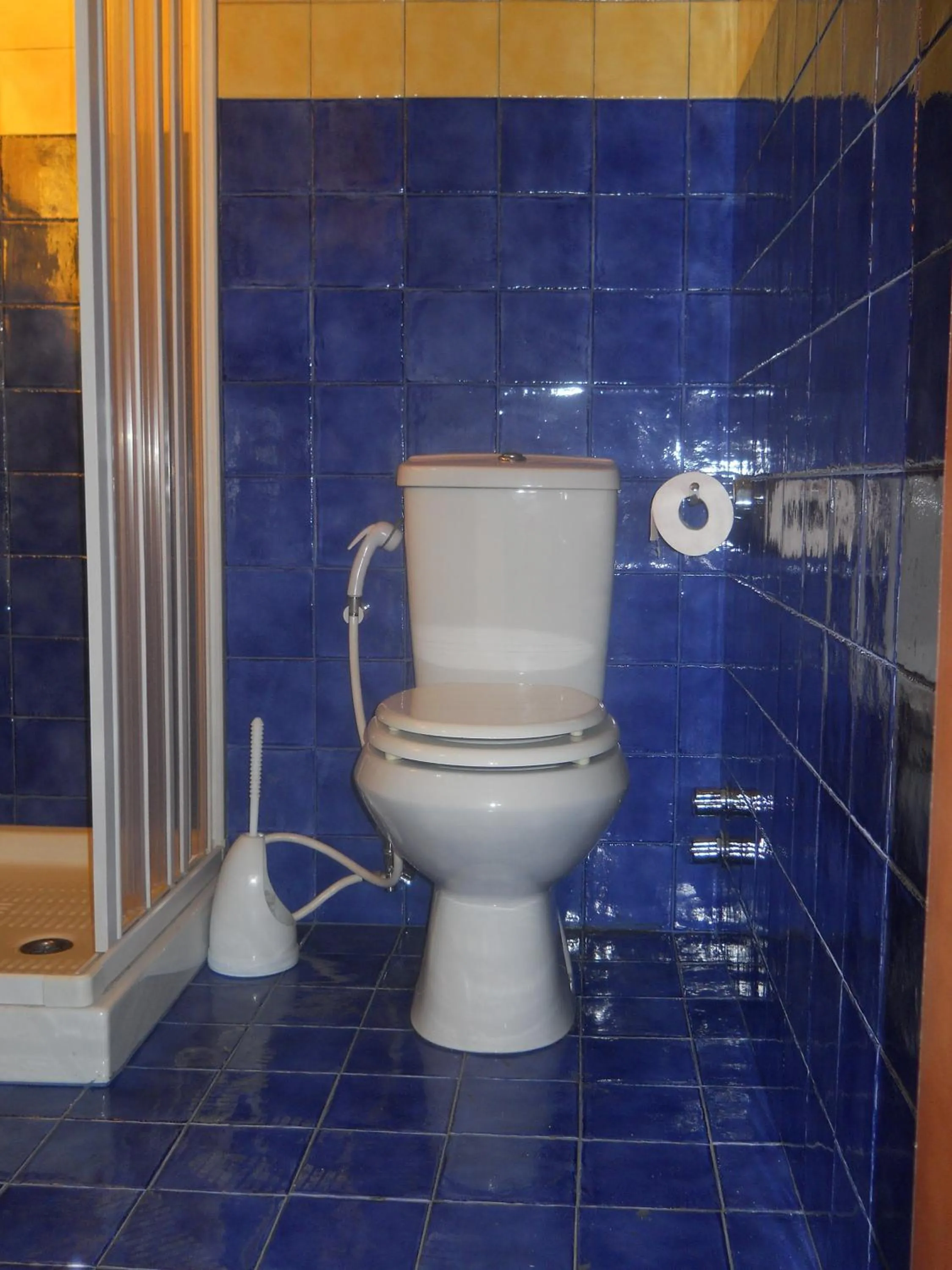Toilet in Antico Palazzo