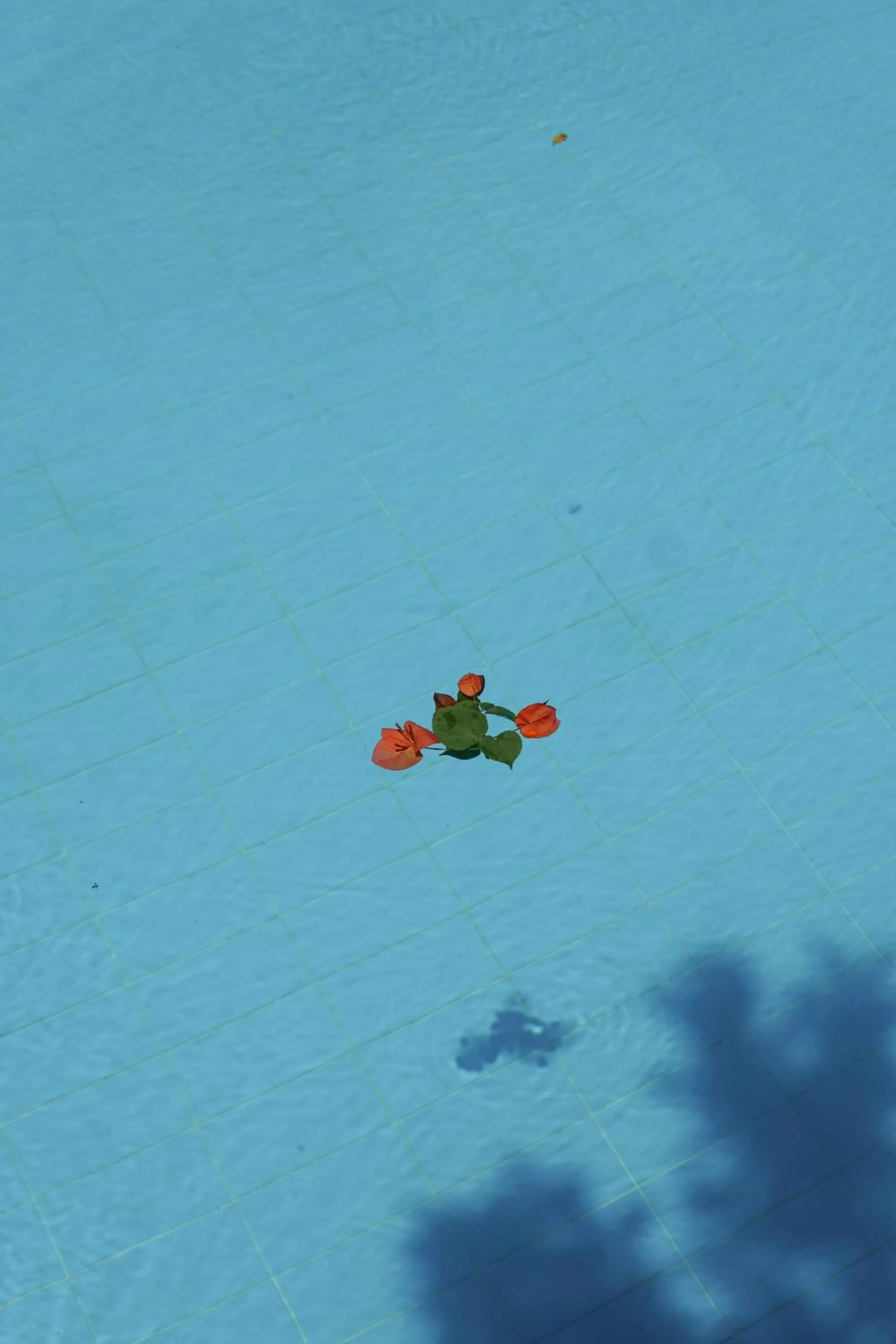 Likya Yolu Palas Hotel