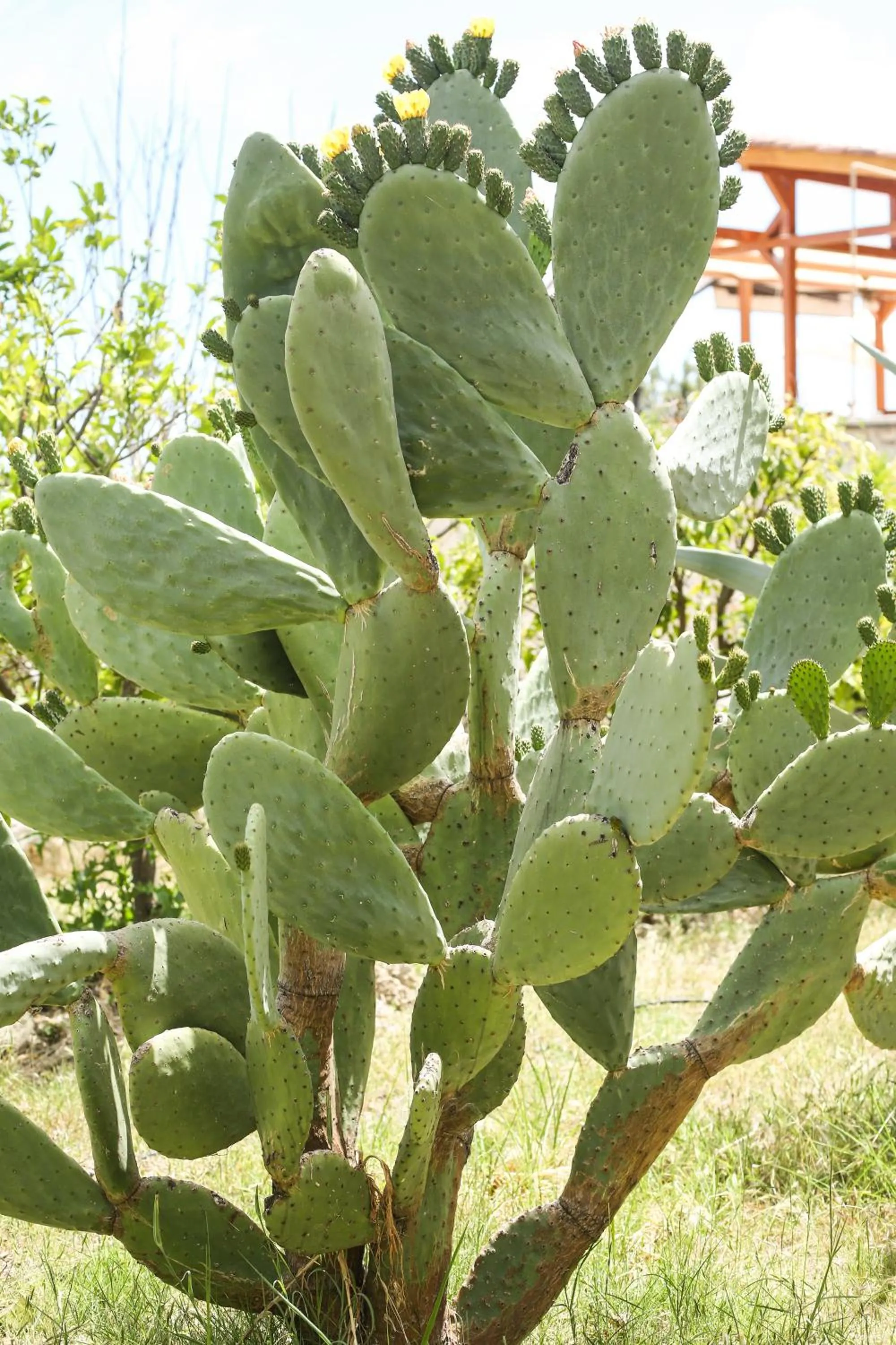 Likya Yolu Palas Hotel