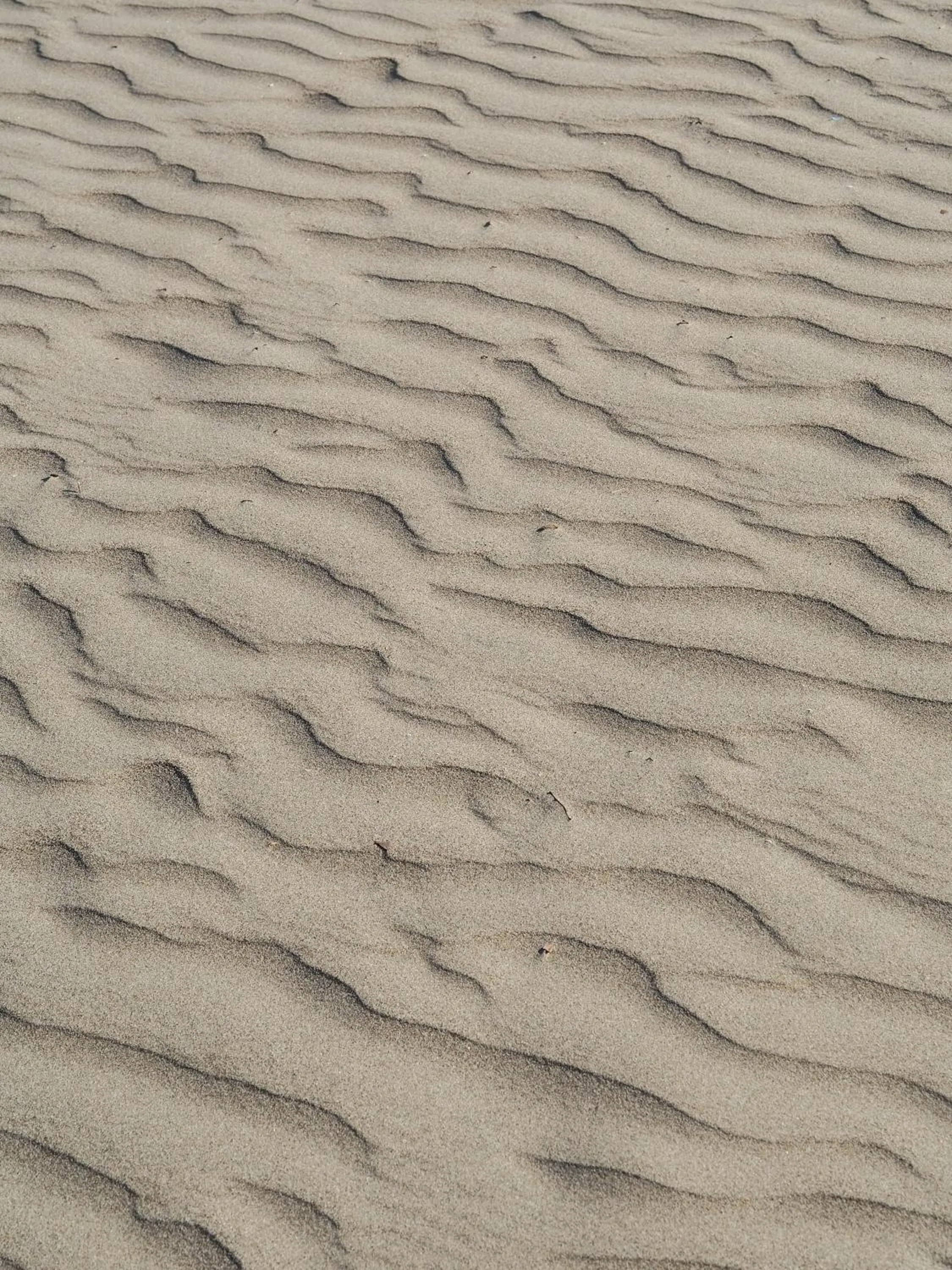 Likya Yolu Palas Hotel