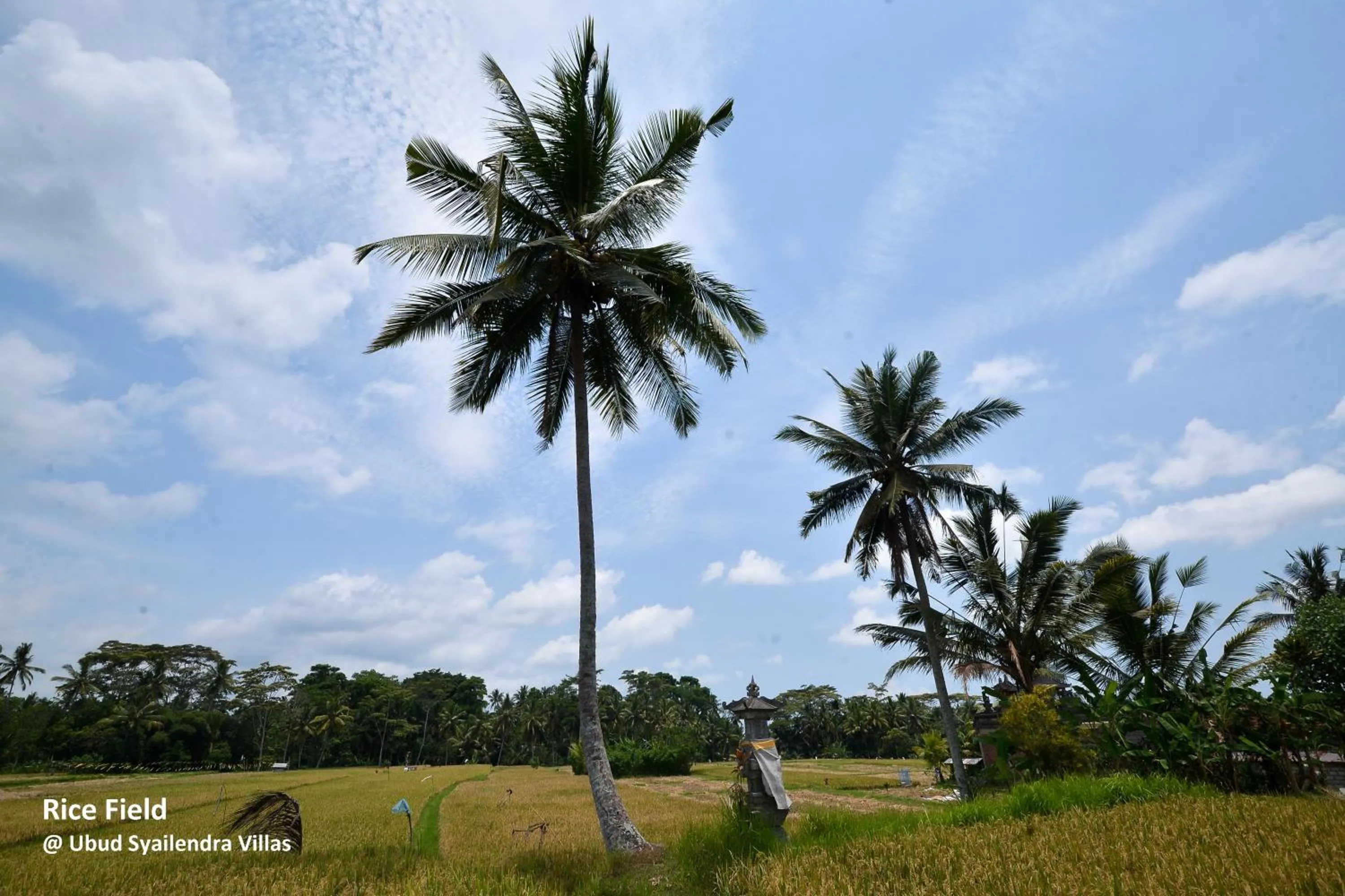Nearby landmark in Ubud Syailendra Villas